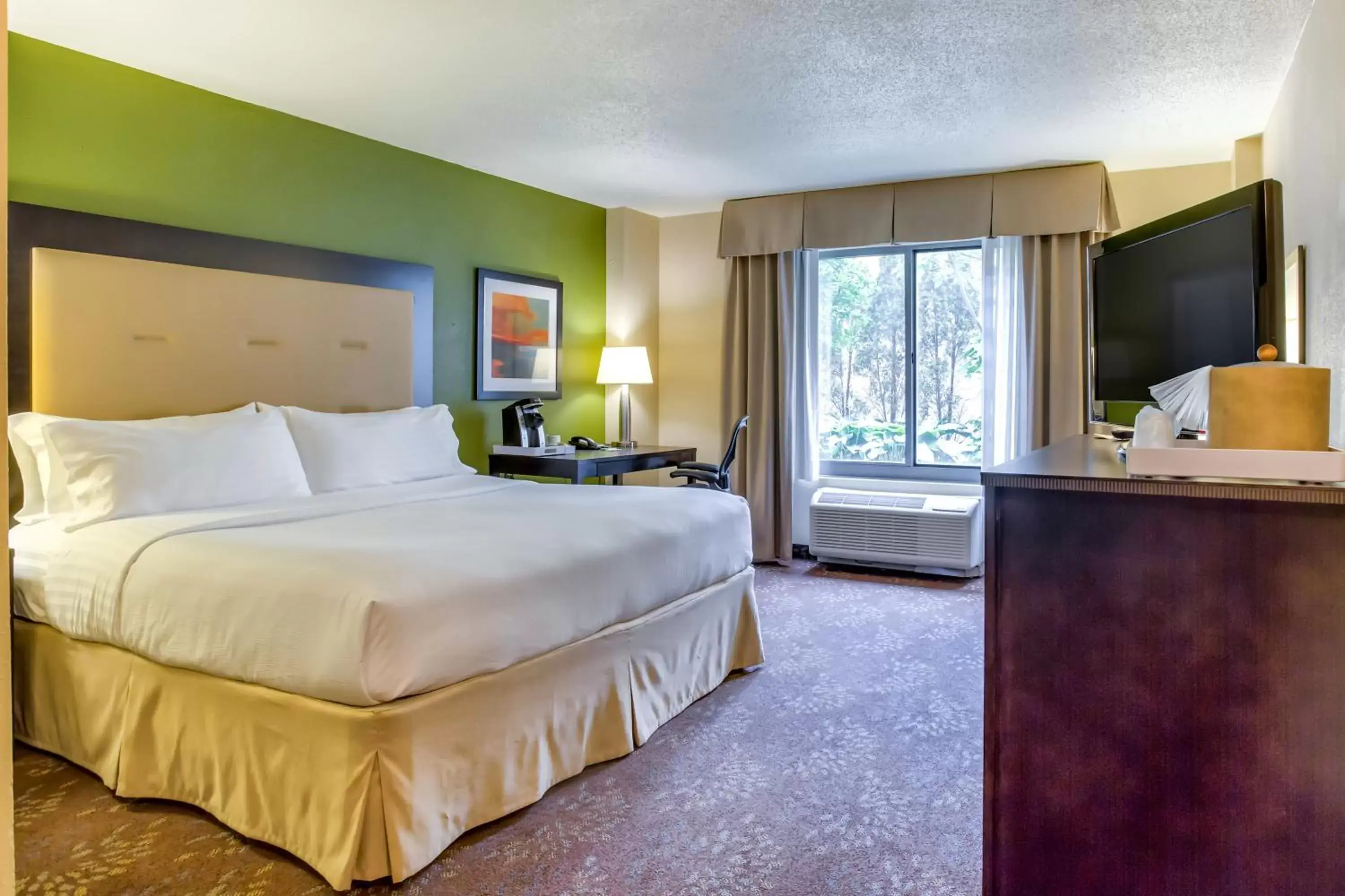 One-Bedroom King Suite - single occupancy in Holiday Inn Indianapolis North-Carmel by IHG One-Bedroom King Suite - single occupancy in Holiday Inn Indianapolis North-Carmel by IHG