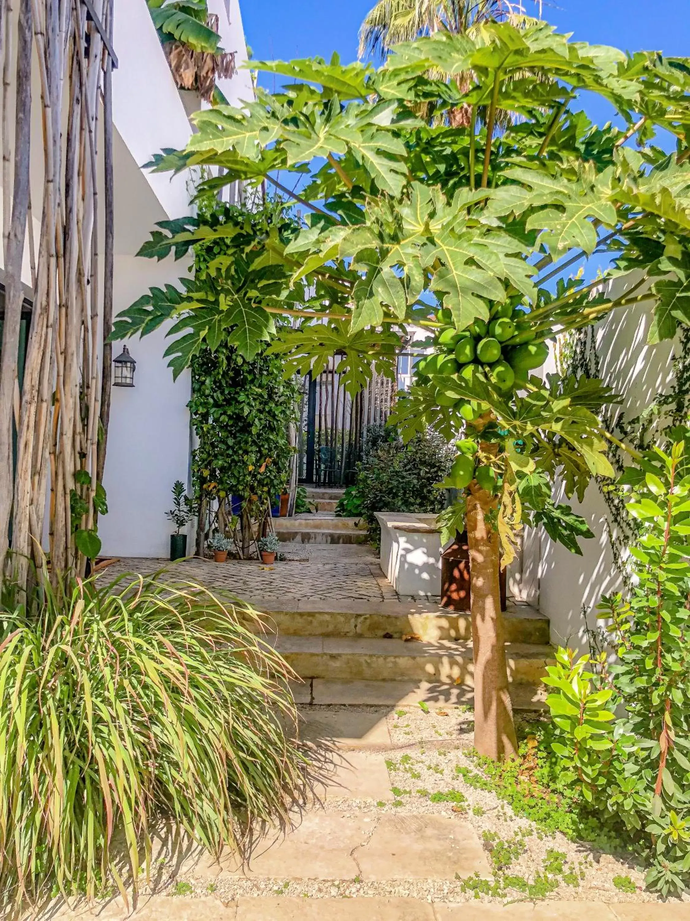 Property building in Altanure - Almatere Food Forest Boutique Hotel Property building in Altanure - Almatere Food Forest Boutique Hotel