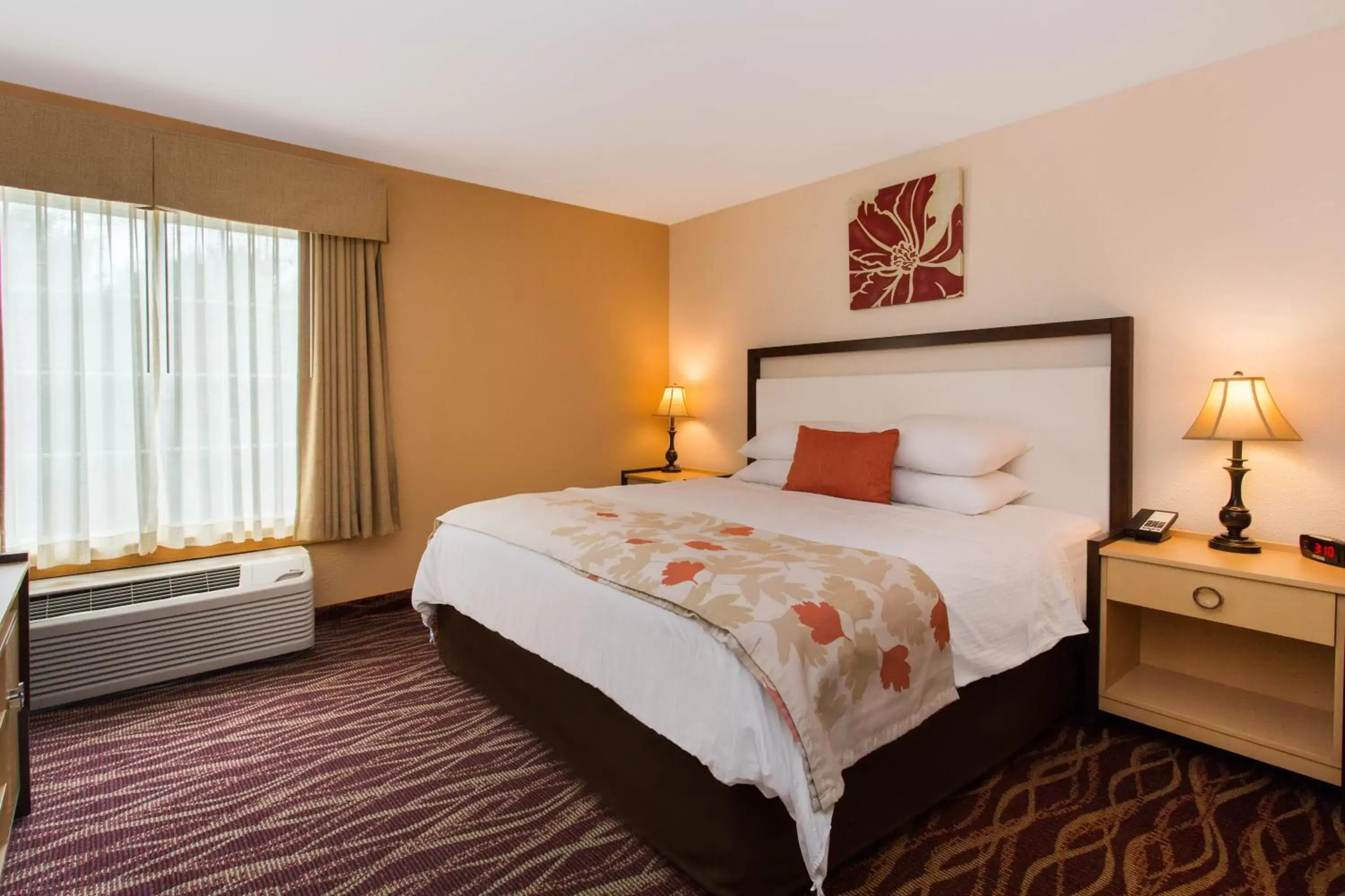 King Room - Non-Smoking in Hawthorn Suites by Wyndham Allentown-Fogelsville King Room - Non-Smoking in Hawthorn Suites by Wyndham Allentown-Fogelsville