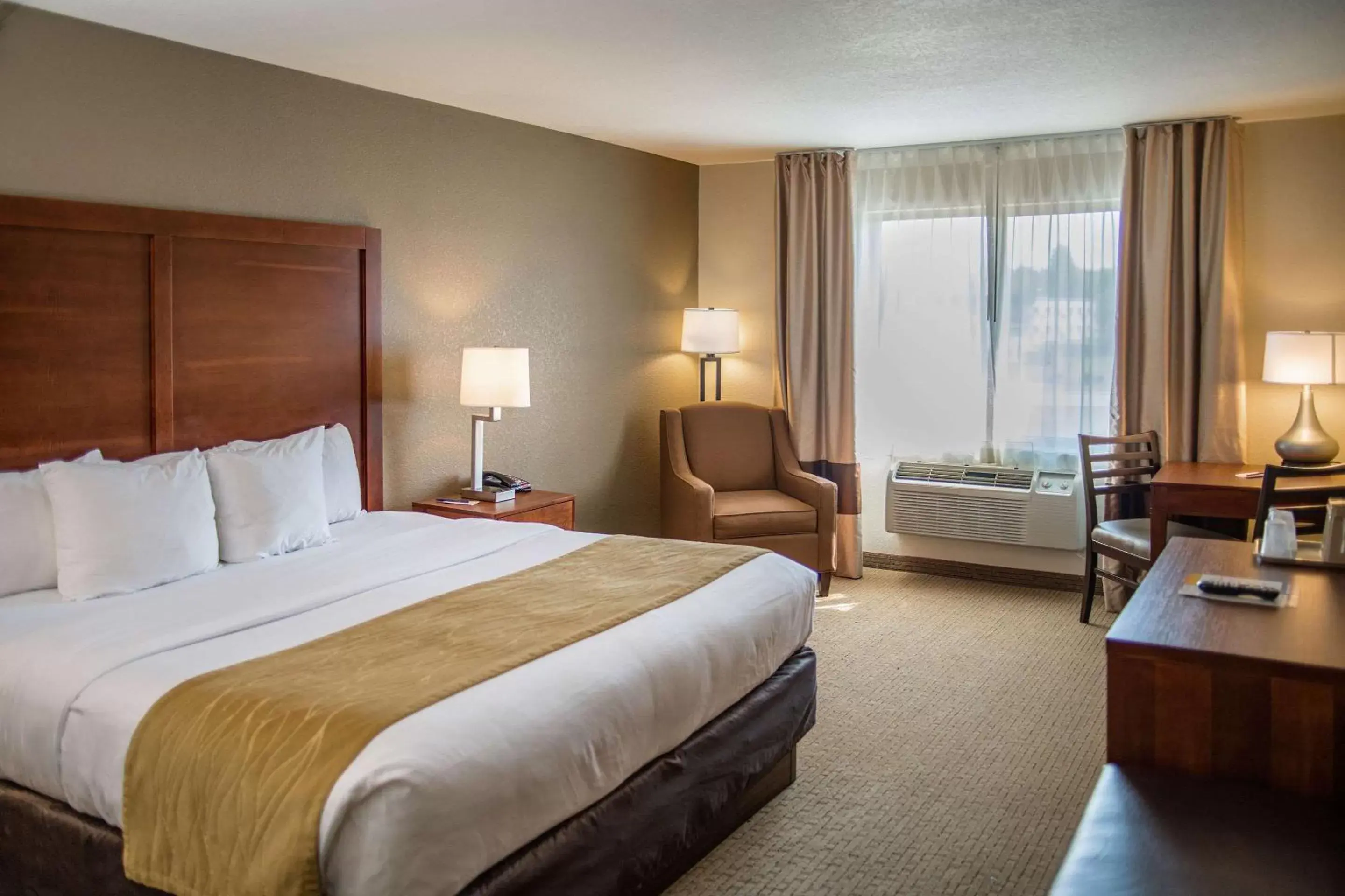 King Room - Accessible/Non-Smoking in Comfort Inn & Suites King Room - Accessible/Non-Smoking in Comfort Inn & Suites