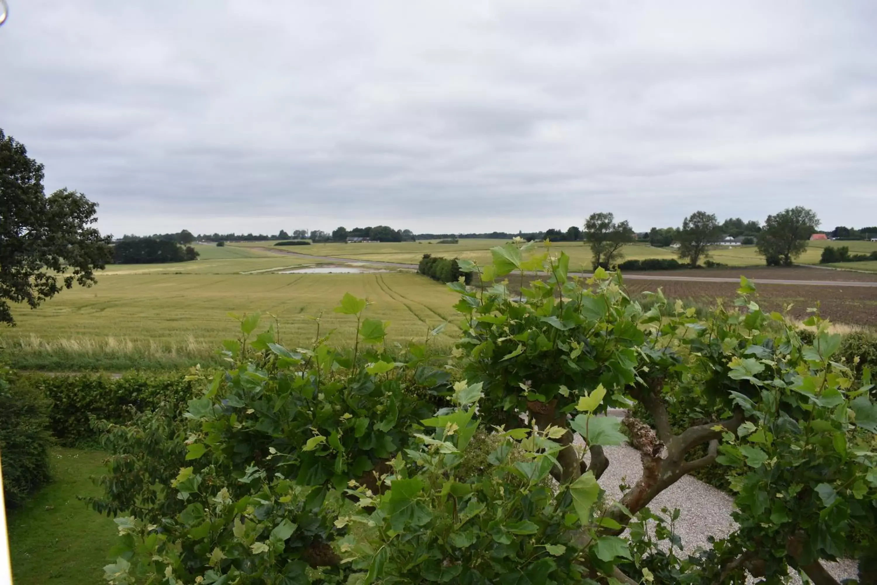 Double or Twin Room with Shared Bathroom - First Floor in Marielyst B&B - Apartments Double or Twin Room with Shared Bathroom - First Floor in Marielyst B&B - Apartments