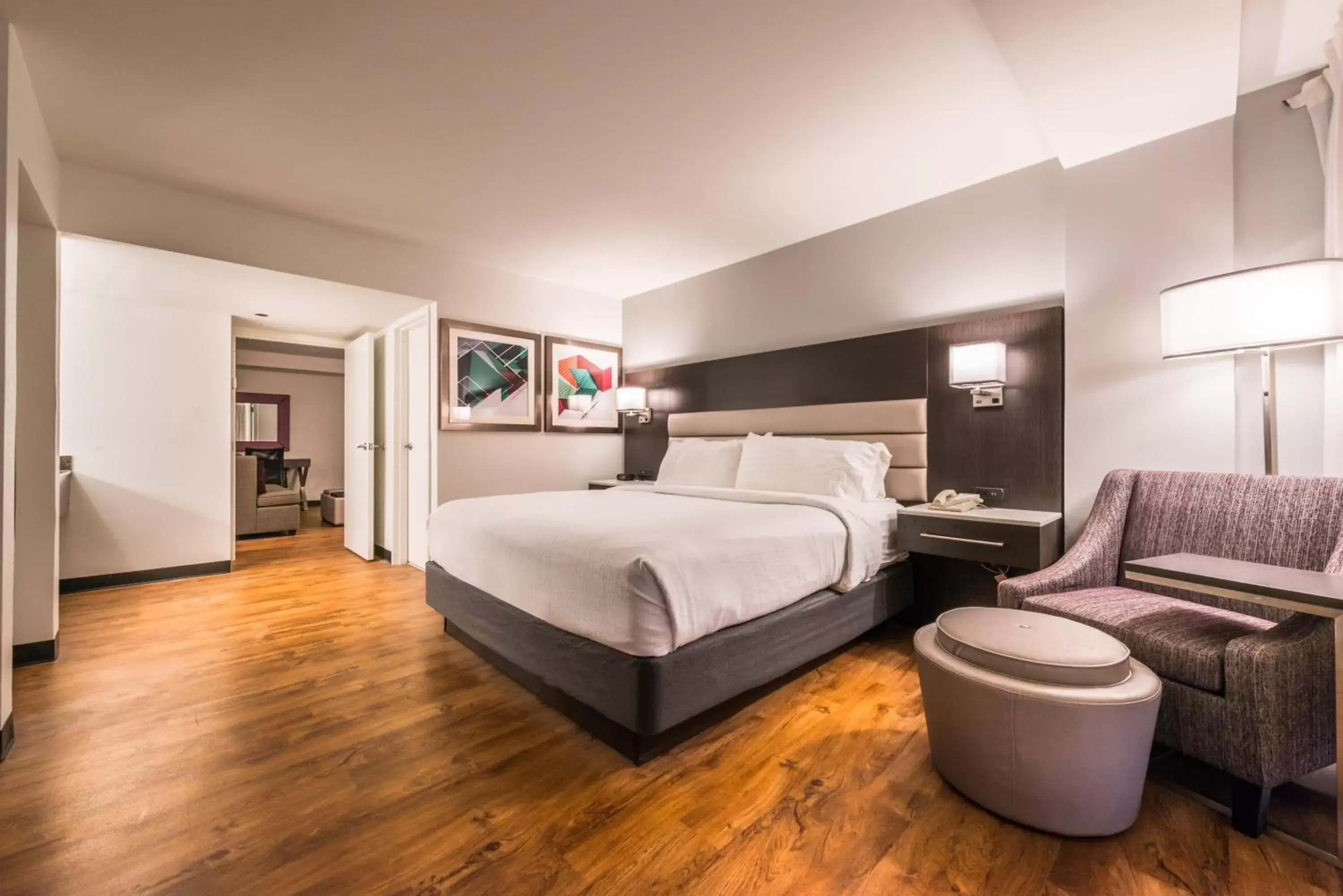 One-Bedroom Suite in Holiday Inn Hotel and Suites Beaumont-Plaza I-10 & Walden by IHG One-Bedroom Suite in Holiday Inn Hotel and Suites Beaumont-Plaza I-10 & Walden by IHG