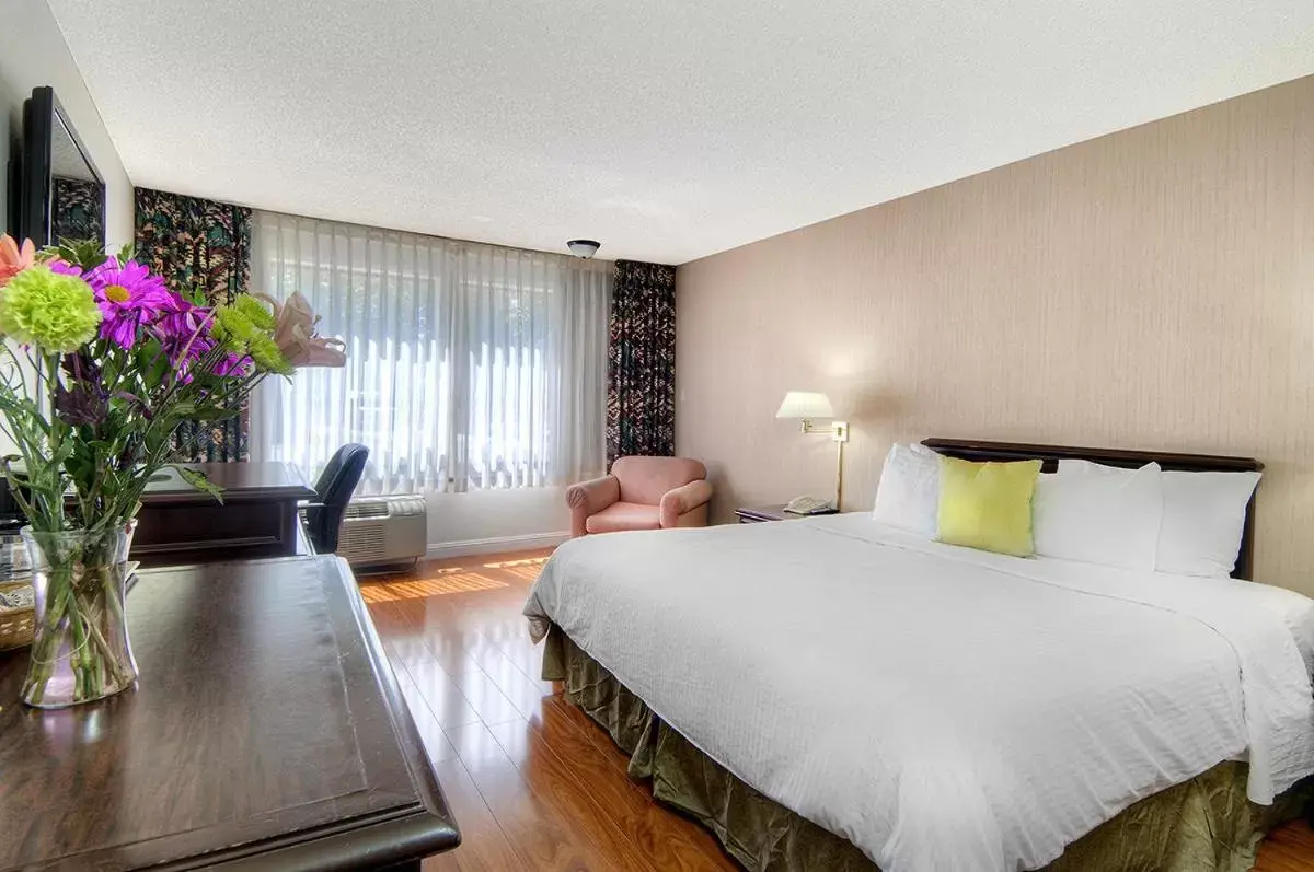 King Room in County Inn King Room in County Inn