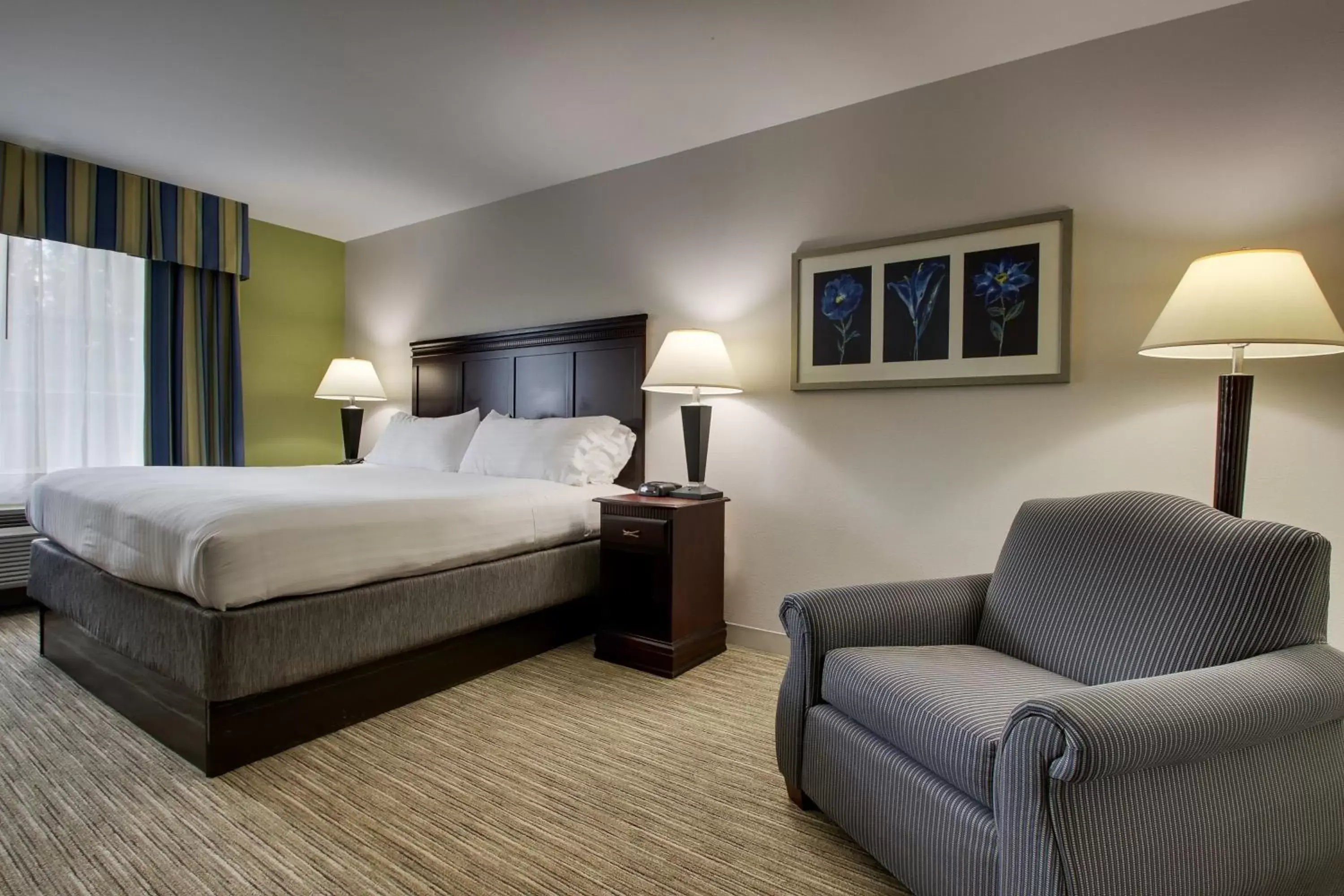 King Room with Mobility Accessible Roll-In Shower - Non-Smoking in Holiday Inn Express Hotel & Suites Middleboro Raynham by IHG King Room with Mobility Accessible Roll-In Shower - Non-Smoking in Holiday Inn Express Hotel & Suites Middleboro Raynham by IHG