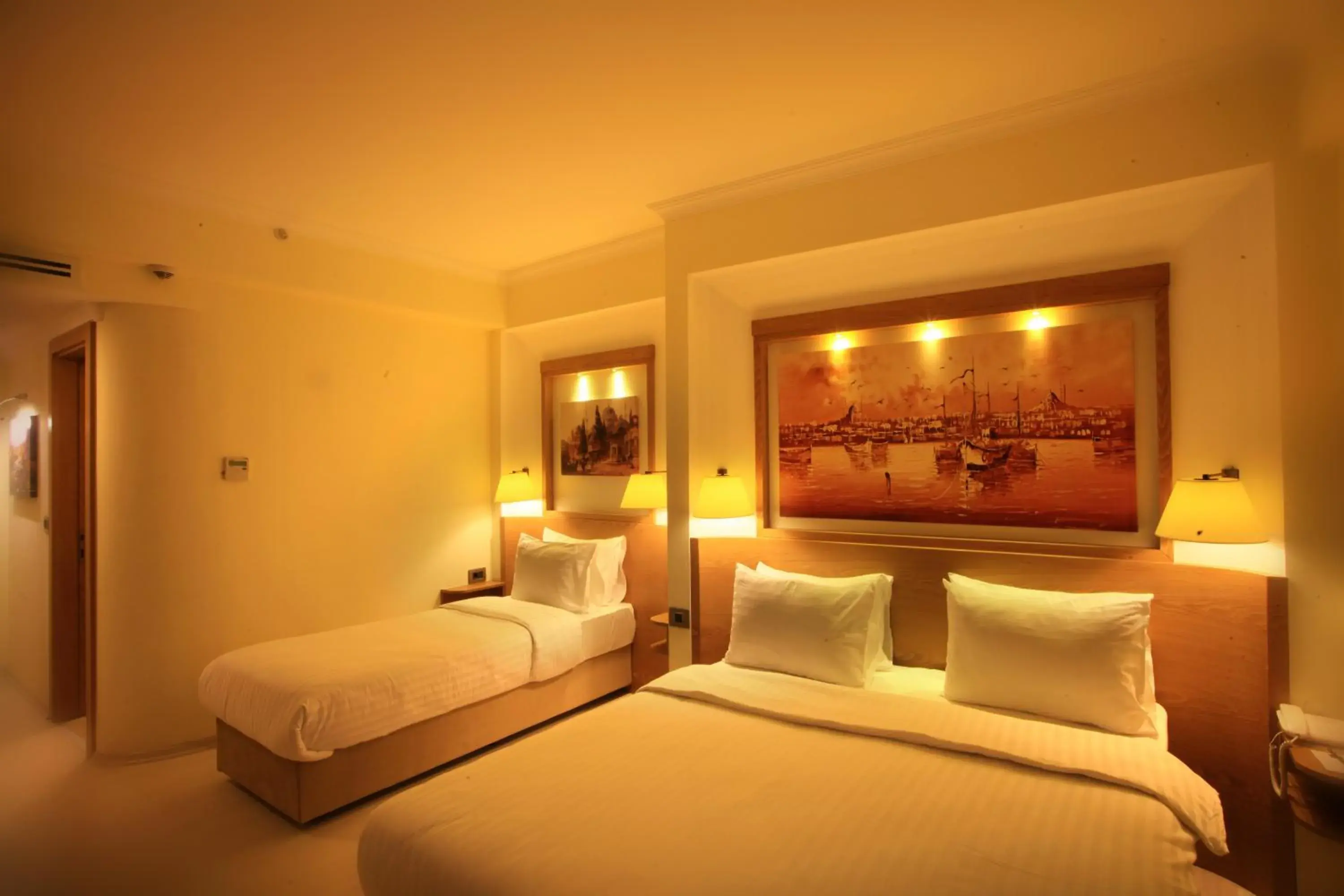 Deluxe Room in Beyoglu MLS Hotel Deluxe Room in Beyoglu MLS Hotel