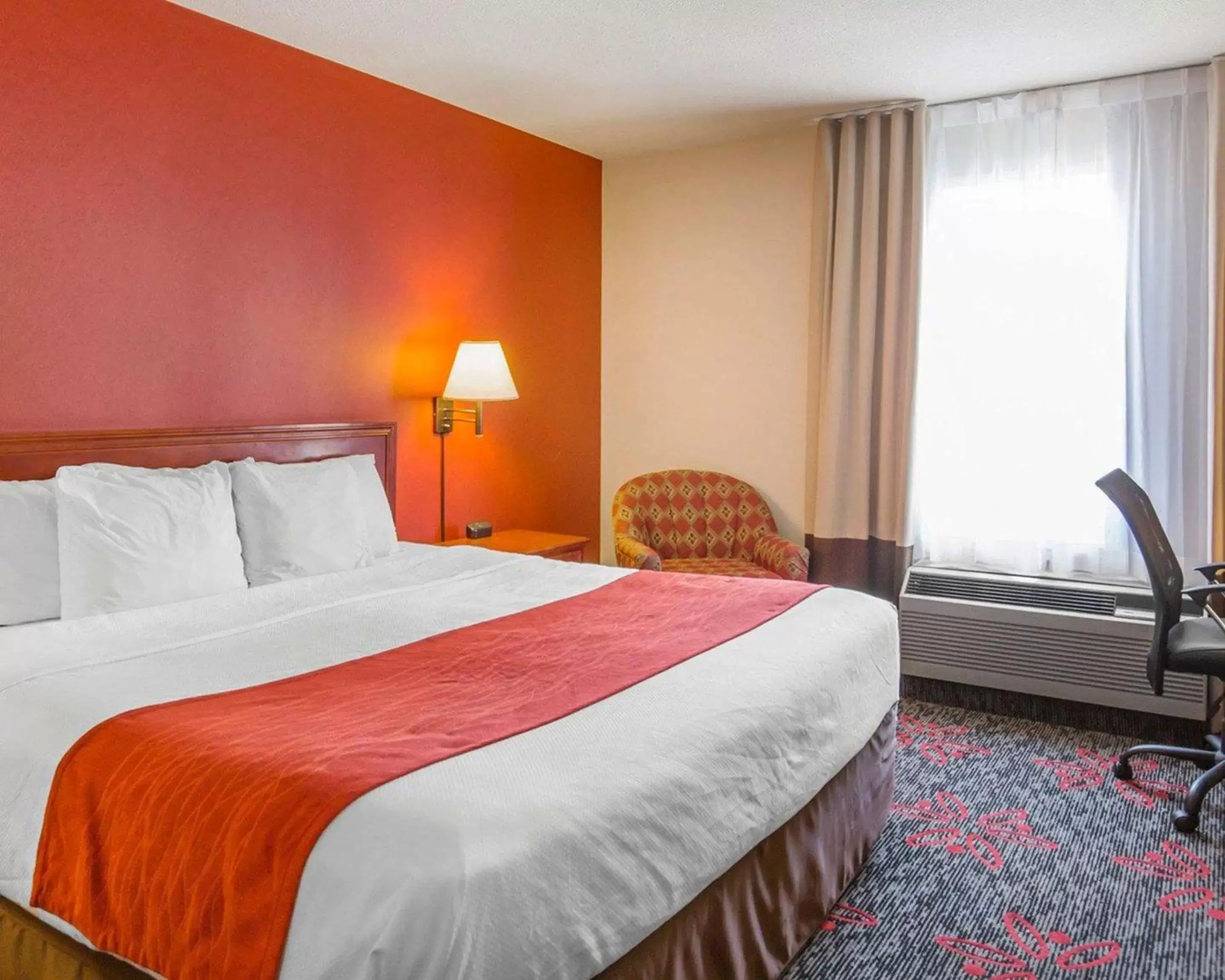 King Room in Comfort Inn & Suites University King Room in Comfort Inn & Suites University