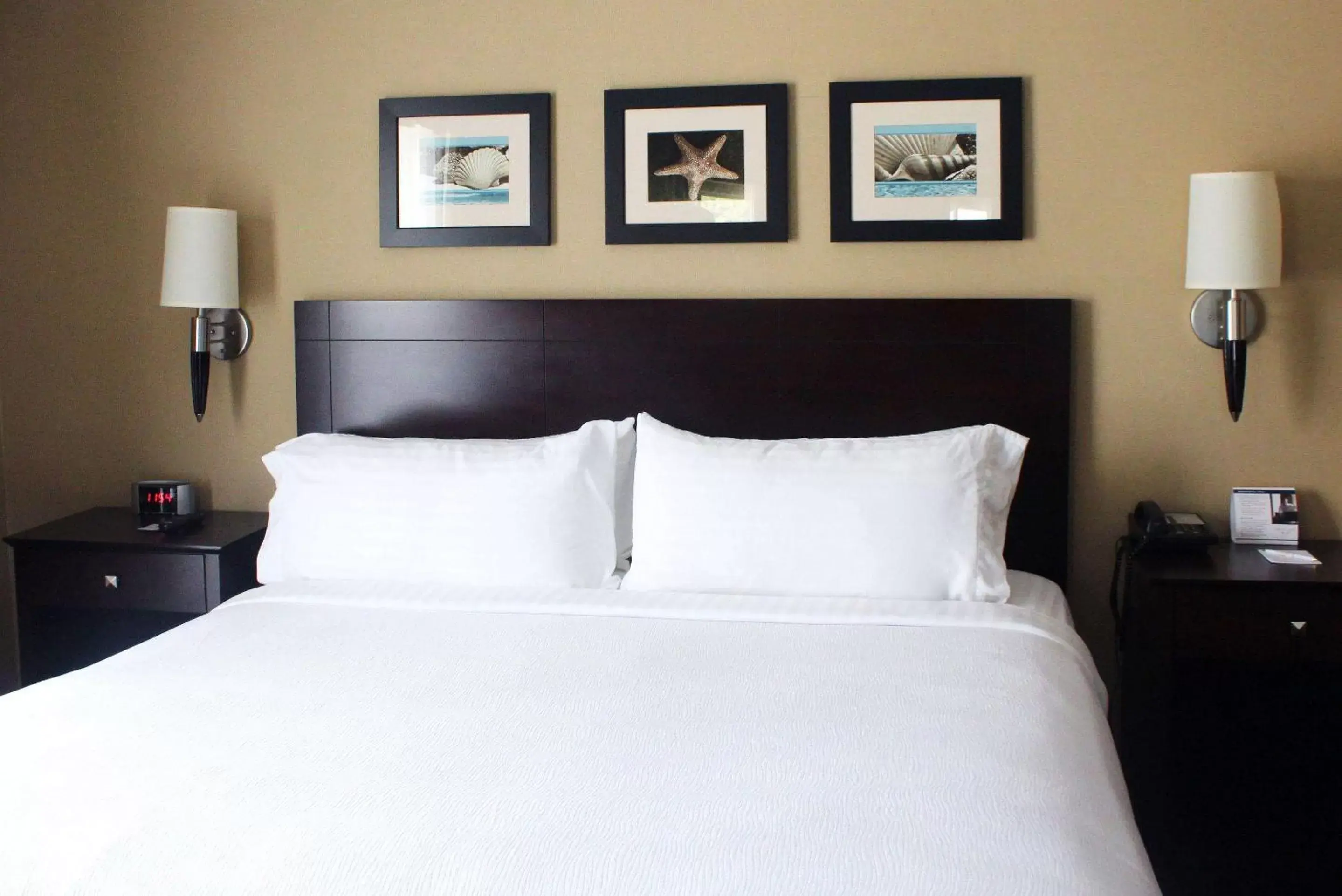 Accessible Room, 1 King Bed, Roll-In Shower, Non Smoking in The Volare, an Ascend Collection Hotel Accessible Room, 1 King Bed, Roll-In Shower, Non Smoking in The Volare, an Ascend Collection Hotel