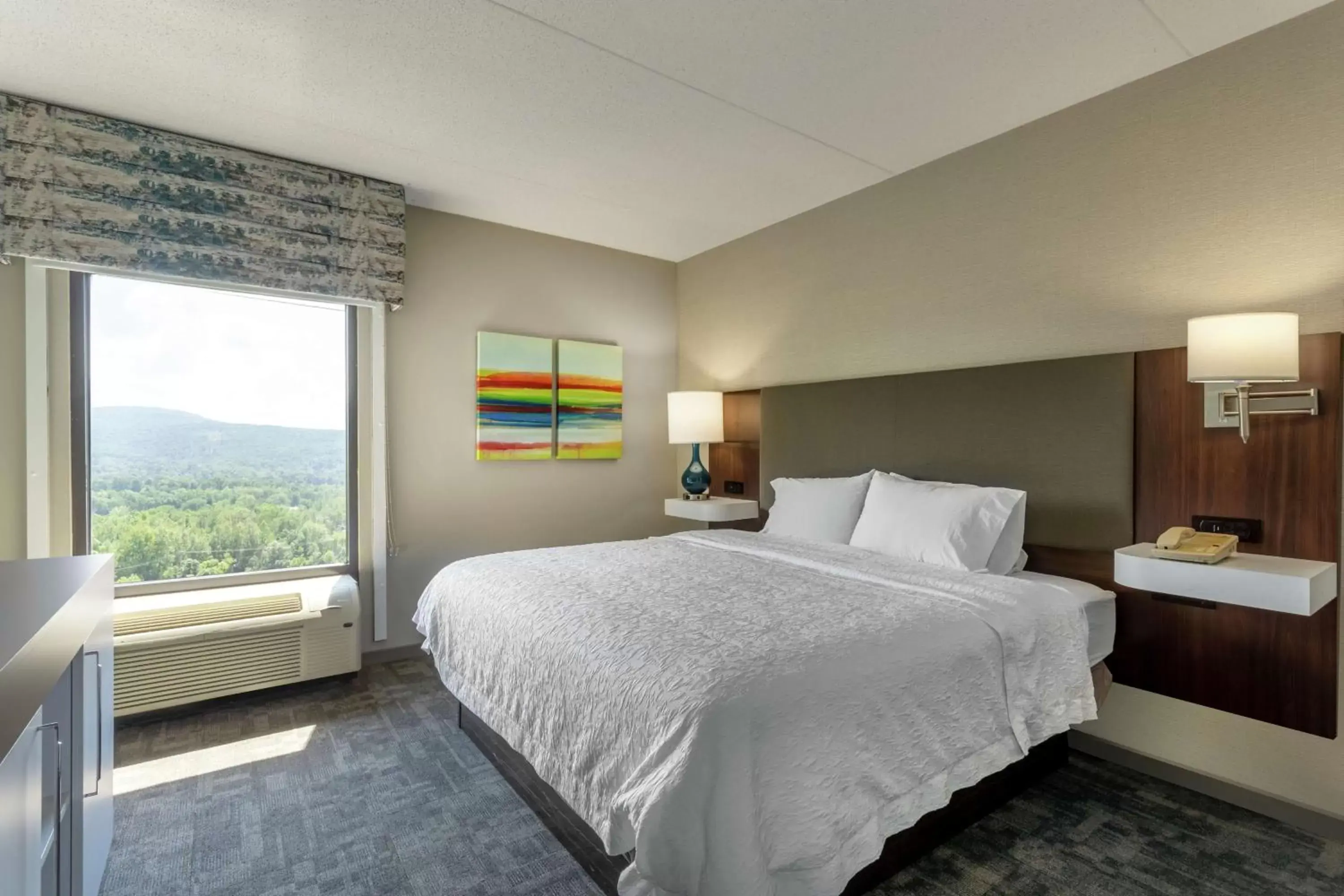 King Room in Hampton Inn Bedford King Room in Hampton Inn Bedford