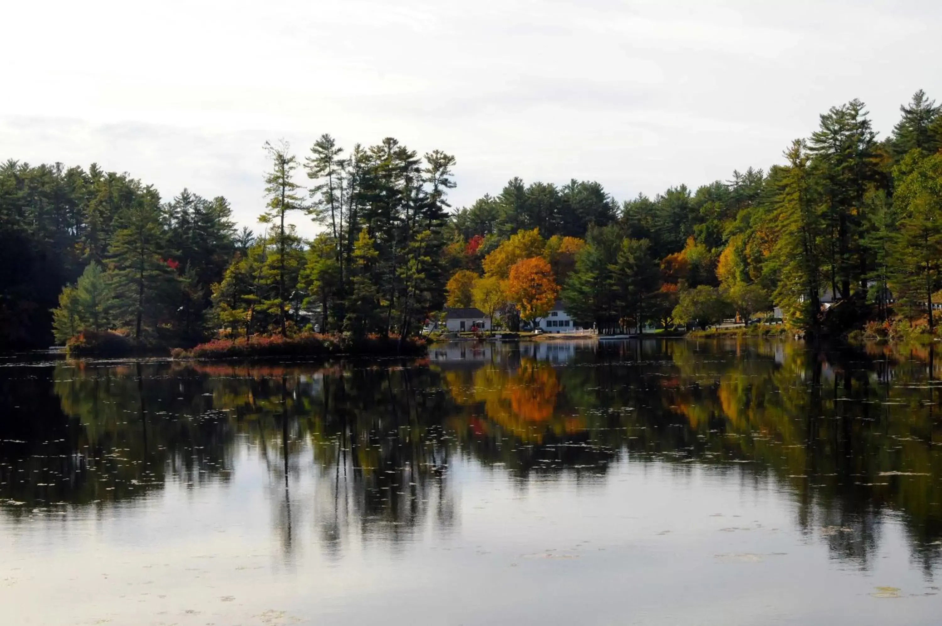 Purity Spring Resort Purity Spring Resort