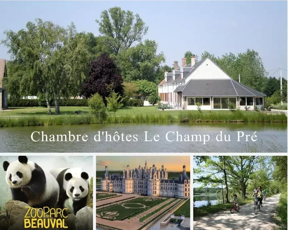 Le Champ du Pré Le Champ du Pré