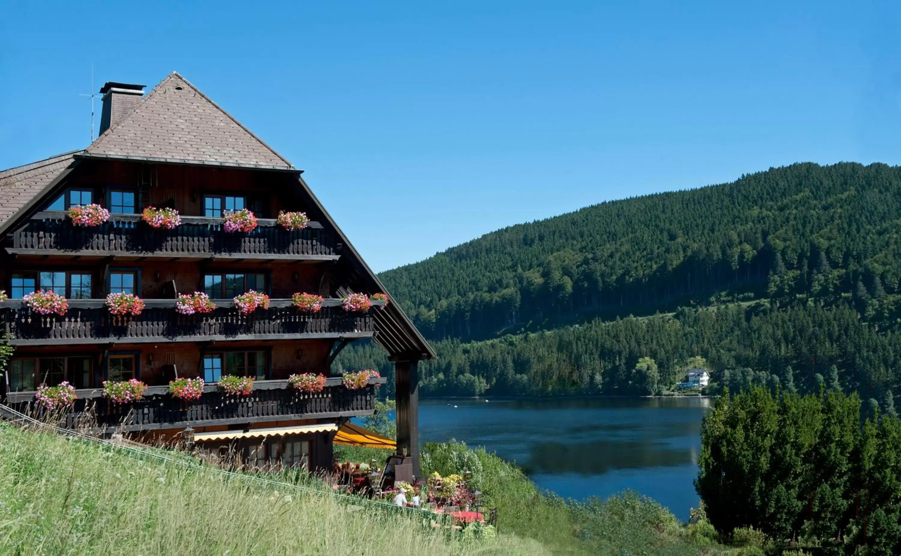 Alemannenhof - Boutique Hotel am Titisee Alemannenhof - Boutique Hotel am Titisee