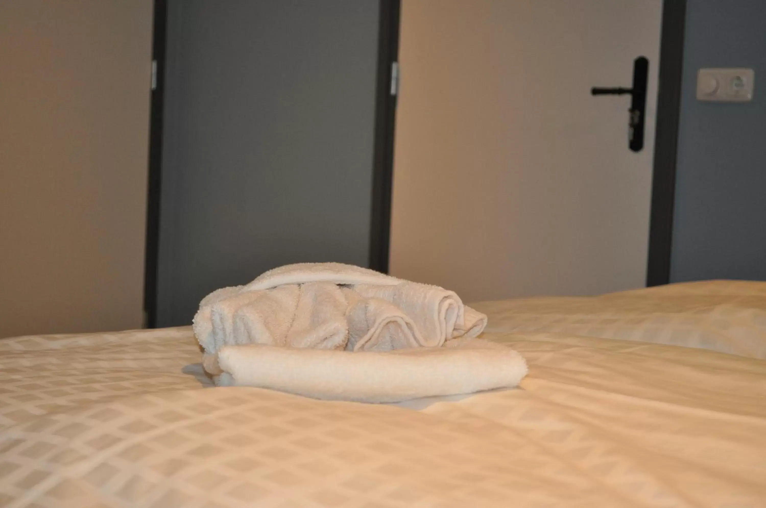 Deluxe Double Room with Shower in Kasteel Aldenghoor Deluxe Double Room with Shower in Kasteel Aldenghoor