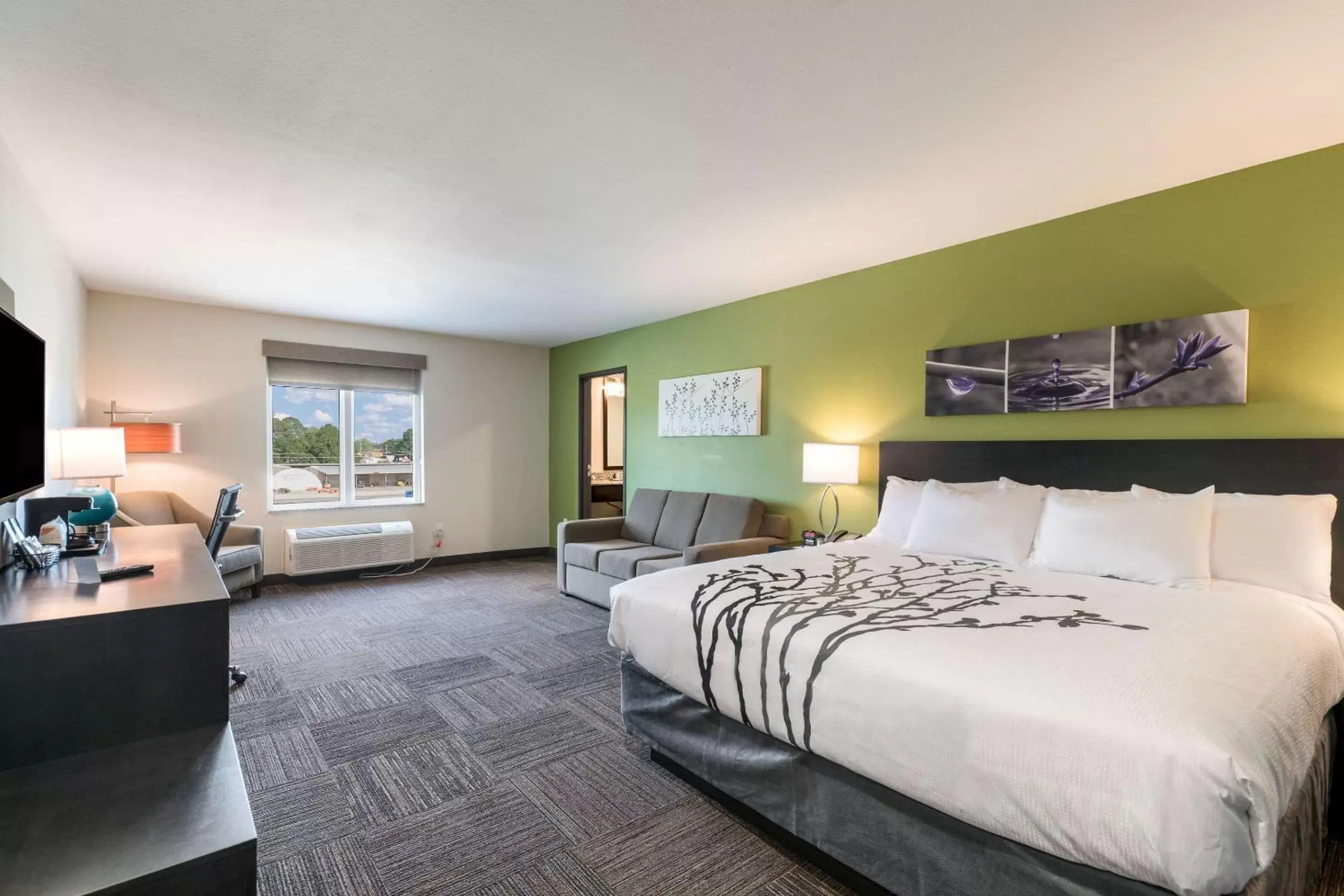 King Suite with Sofa Bed - Non-Smoking in Sleep Inn King Suite with Sofa Bed - Non-Smoking in Sleep Inn