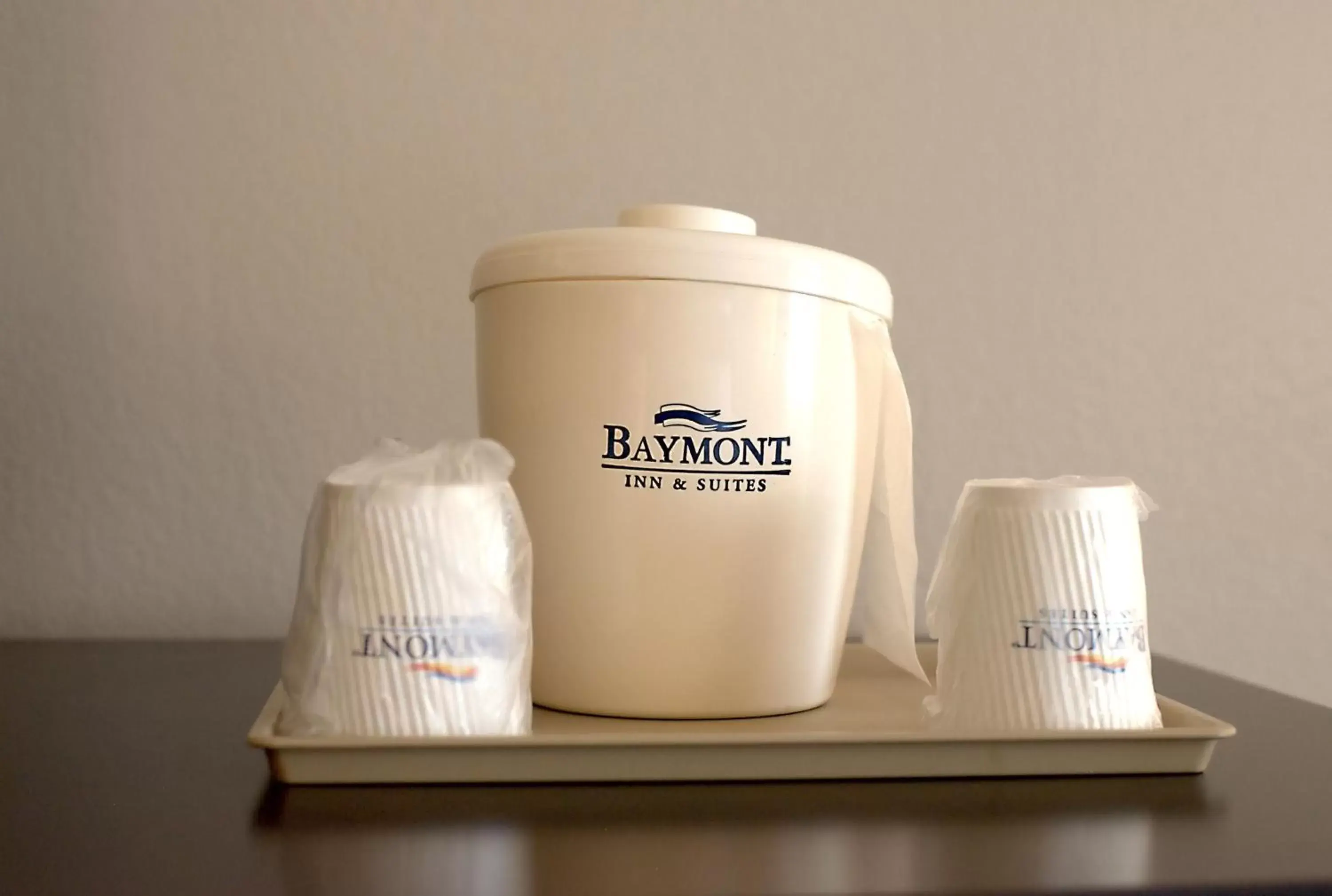 Deluxe King Suite in Baymont by Wyndham Cambridge Deluxe King Suite in Baymont by Wyndham Cambridge