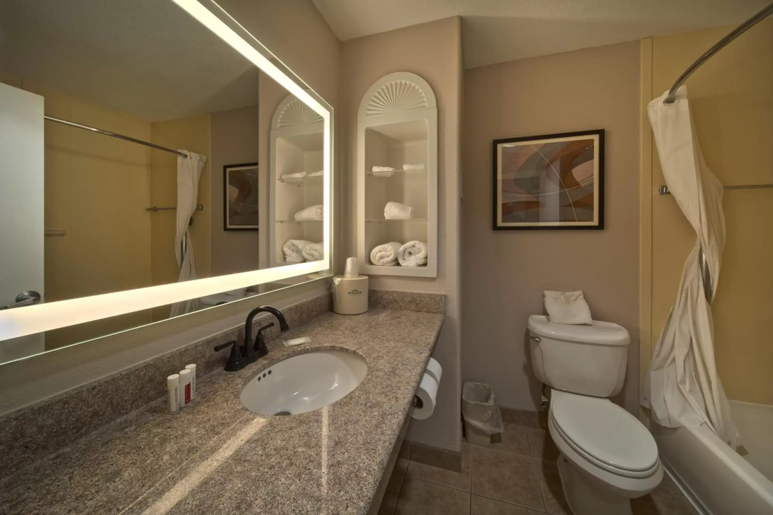 Deluxe King Studio Suite - Non-Smoking in Wingate by Wyndham Houston Bush Intercontinental Airport Deluxe King Studio Suite - Non-Smoking in Wingate by Wyndham Houston Bush Intercontinental Airport