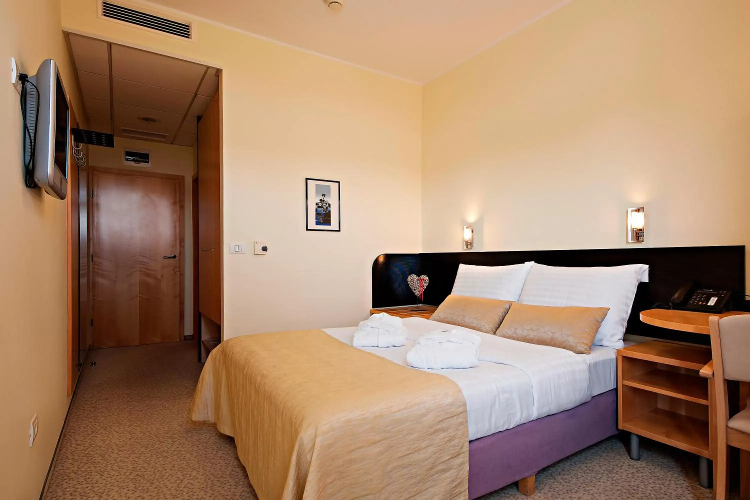 Economy Double Room in Radenci Spa Resort - Sava Hotels & Resorts Economy Double Room in Radenci Spa Resort - Sava Hotels & Resorts