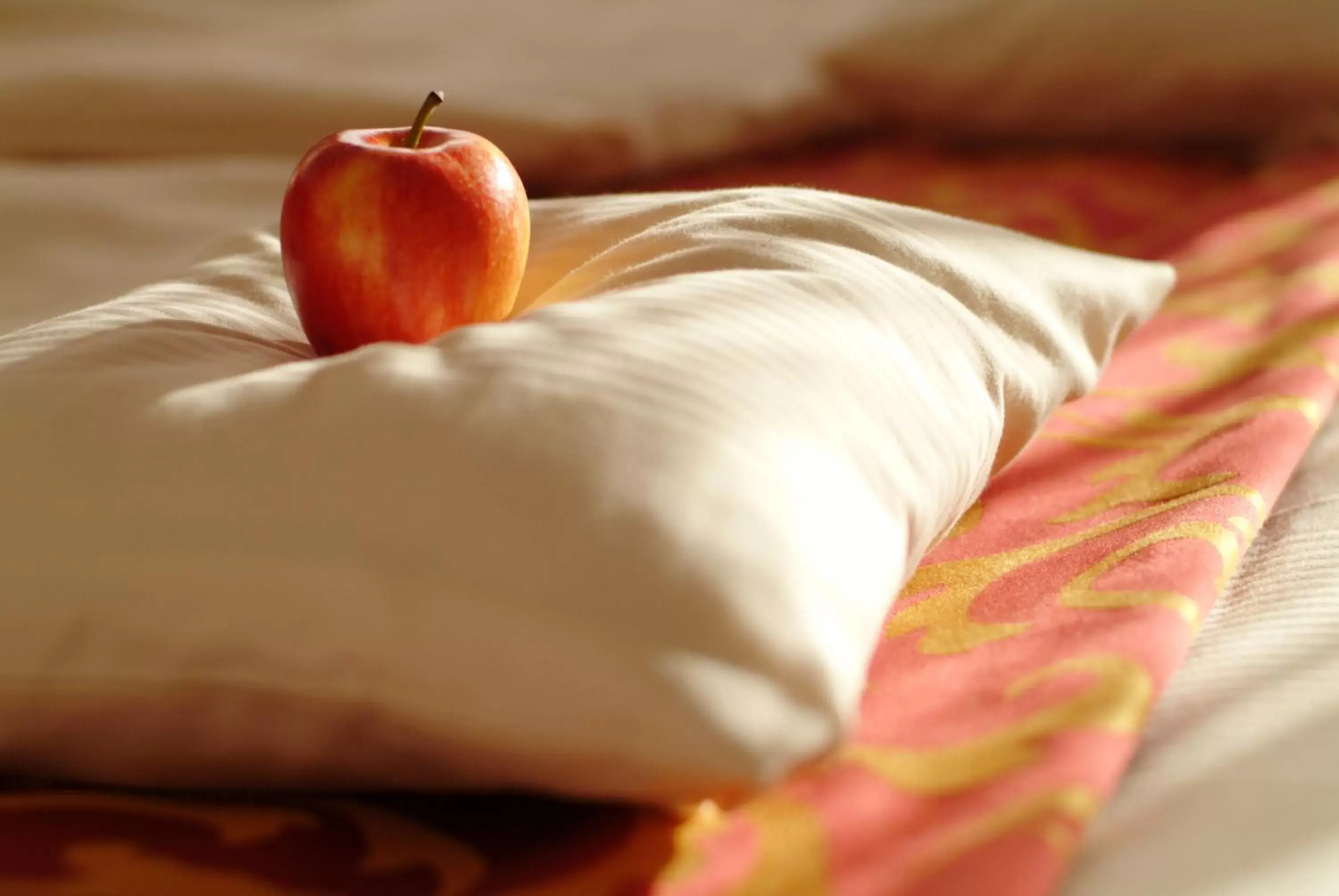 Special Offer - Single Room in Hotel & Restaurant Walfisch Special Offer - Single Room in Hotel & Restaurant Walfisch