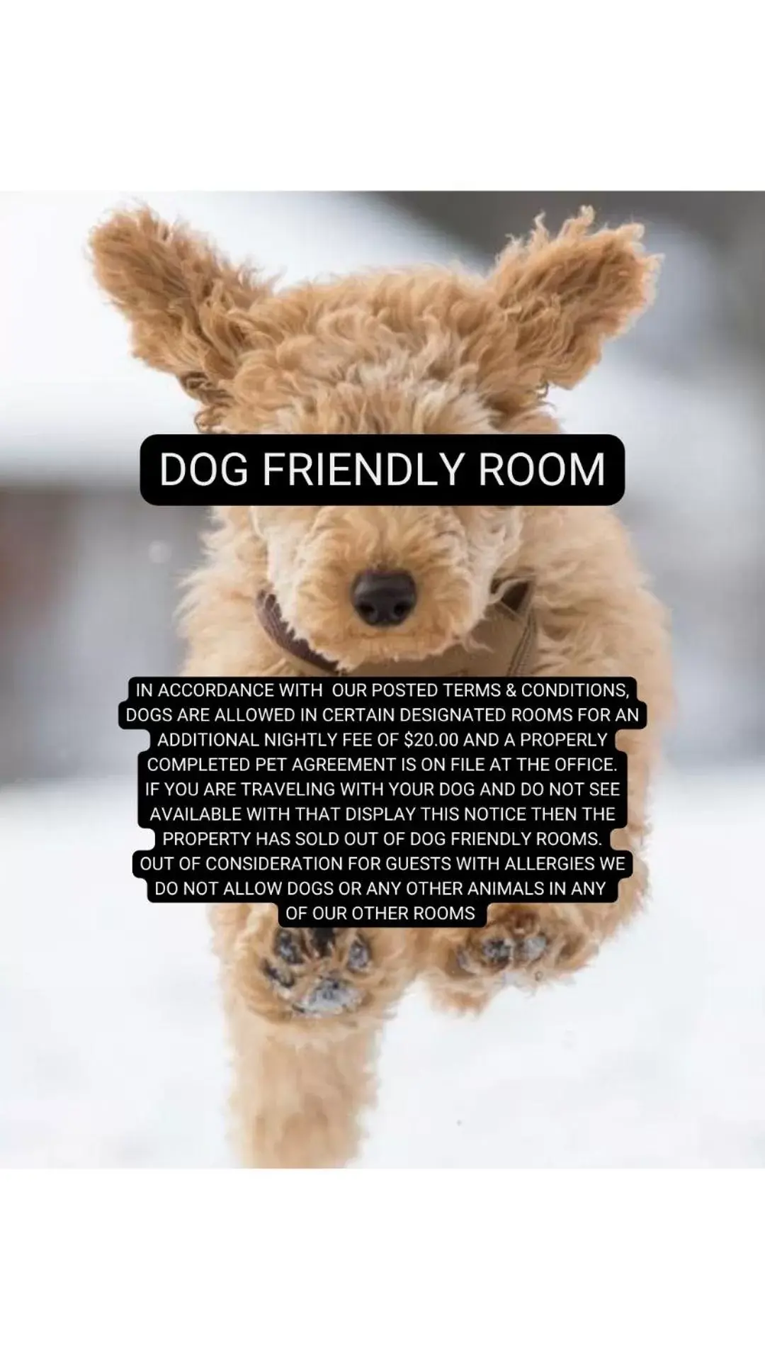 Queen City Inn Queen City Inn