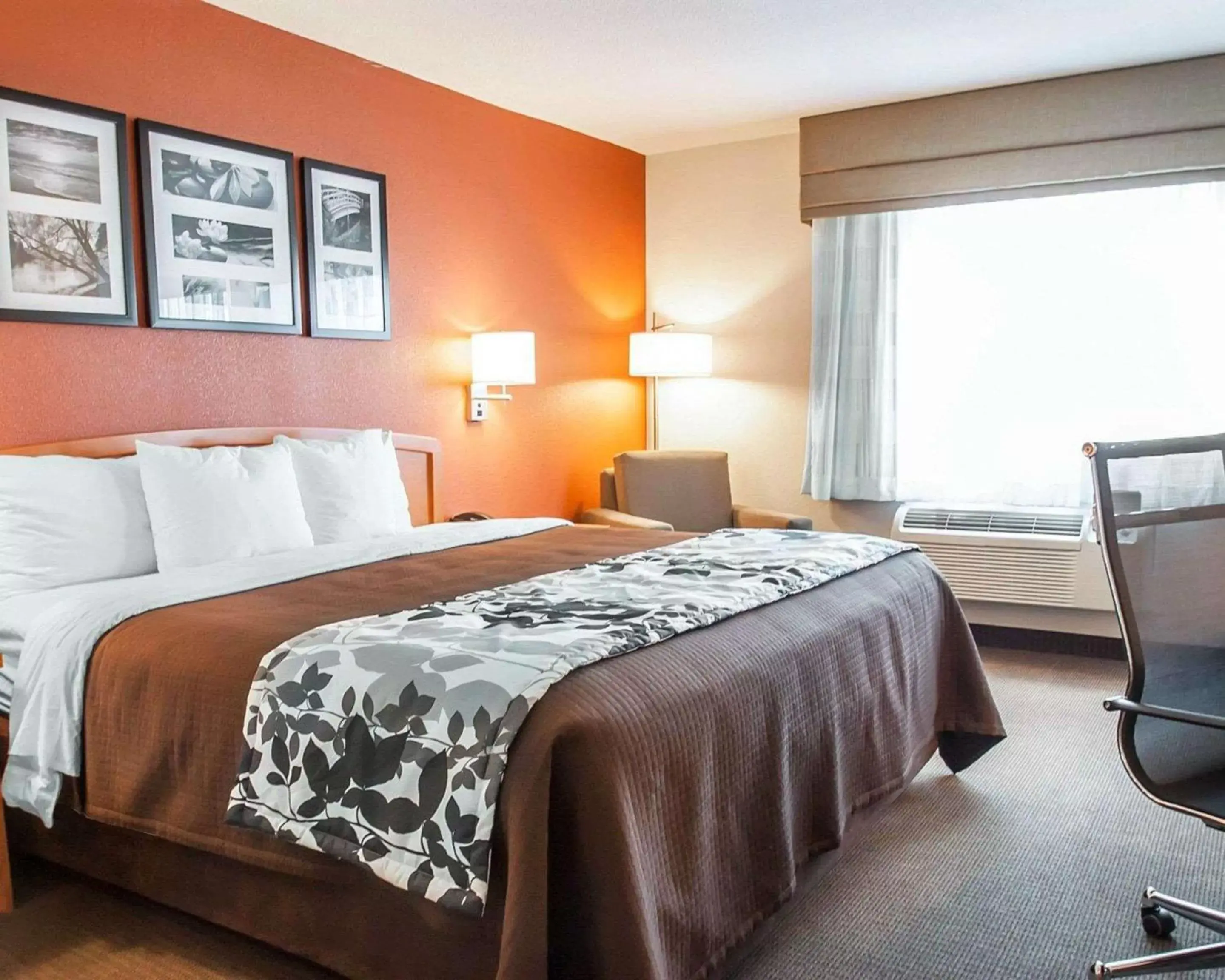 Standard King Room - Non-Smoking in Sleep Inn & Suites Lake of the Ozarks Standard King Room - Non-Smoking in Sleep Inn & Suites Lake of the Ozarks