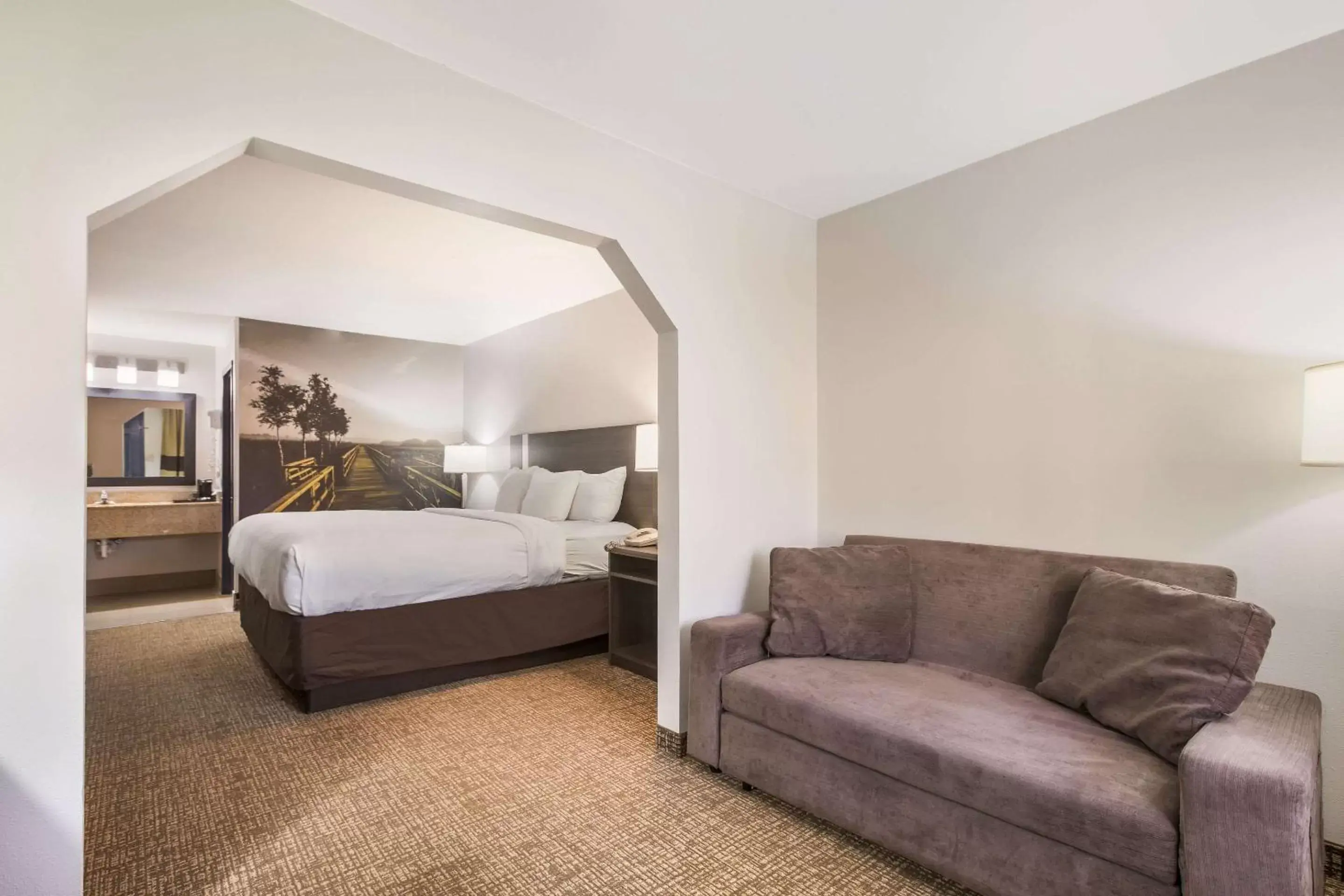 King Suite - Non-Smoking in Clarion Pointe Forsyth I-75 King Suite - Non-Smoking in Clarion Pointe Forsyth I-75