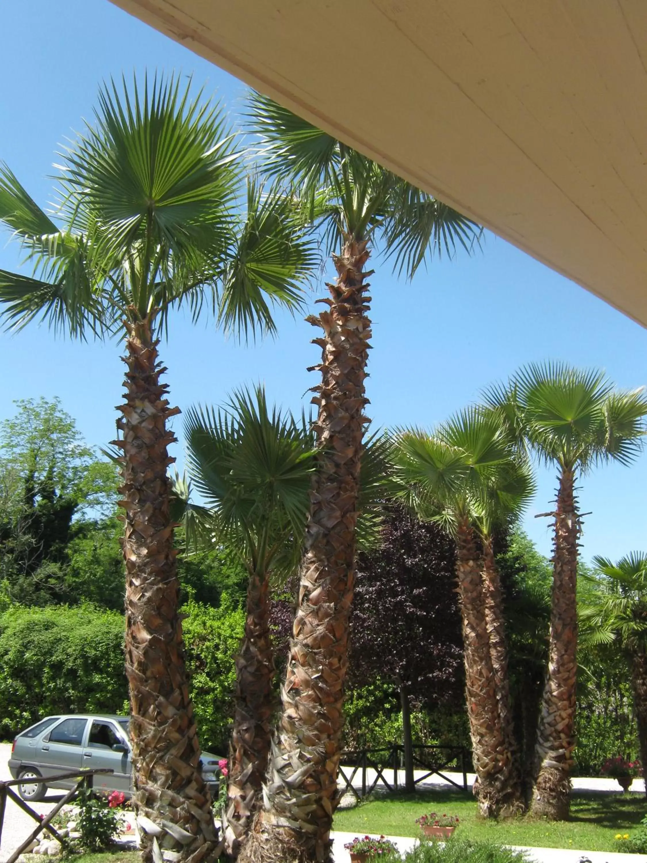 Double Room in B & B OASI Double Room in B & B OASI