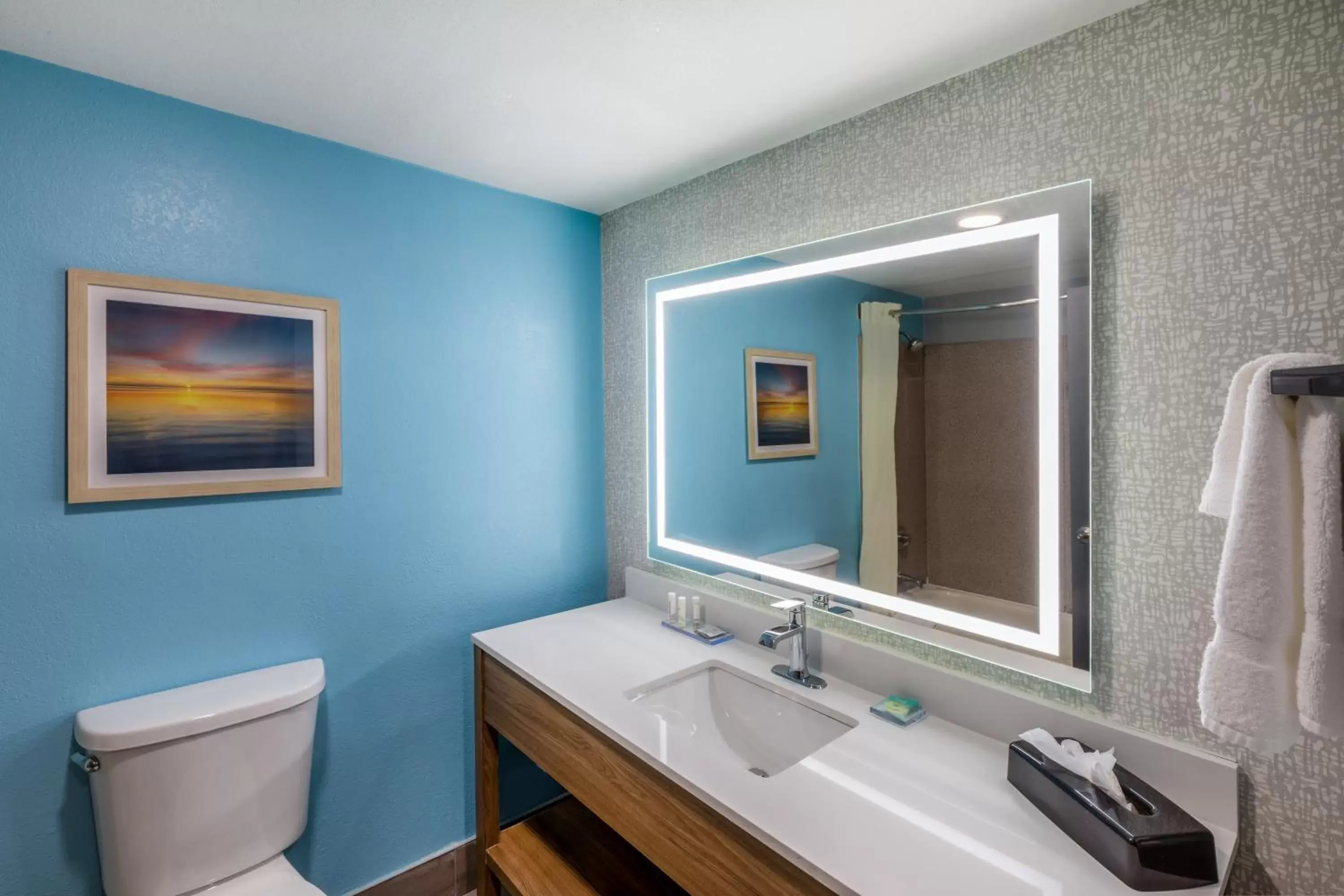 King Room with Roll-In Shower - Mobility Access/Non-Smoking in La Quinta by Wyndham New Braunfels King Room with Roll-In Shower - Mobility Access/Non-Smoking in La Quinta by Wyndham New Braunfels