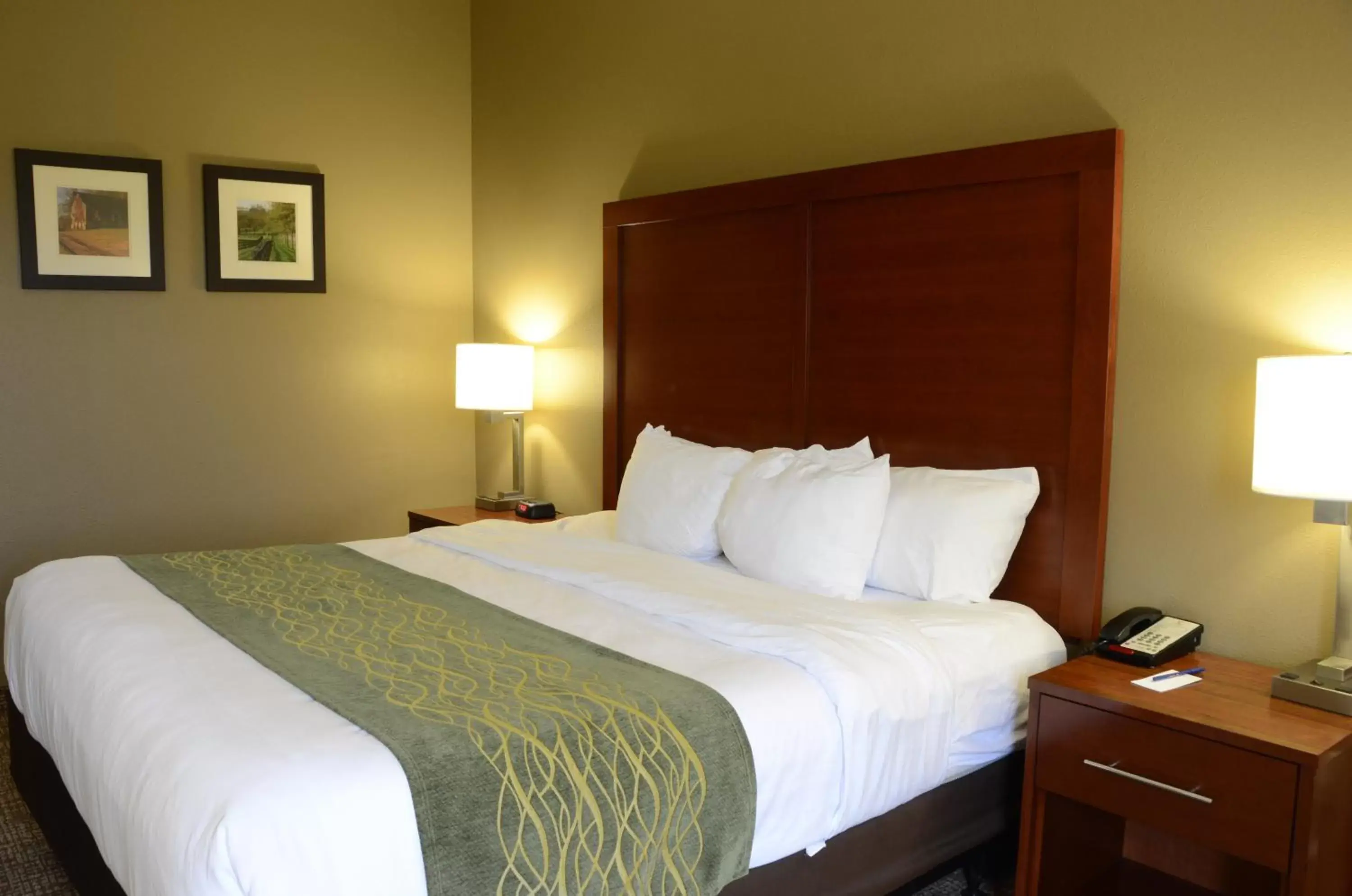 King Room with Roll-In Shower - Accessible/Non-Smoking in Comfort Inn & Suites Cave City King Room with Roll-In Shower - Accessible/Non-Smoking in Comfort Inn & Suites Cave City