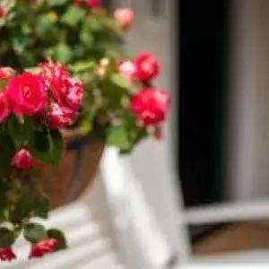 Large Double Room in Arcady Mountain Motor Lodge Large Double Room in Arcady Mountain Motor Lodge