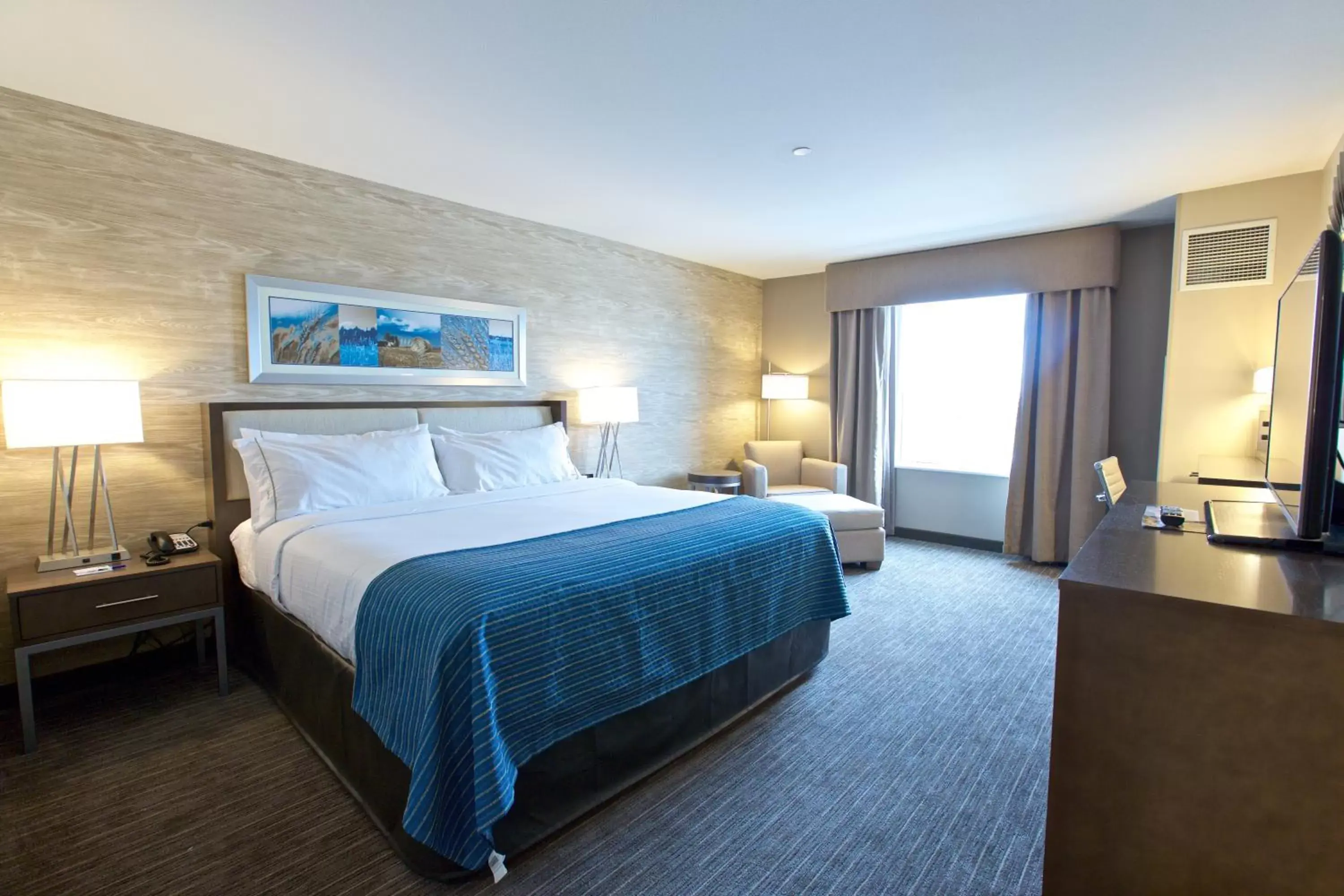 King Room - Non-Smoking in Holiday Inn Express Fargo SW I94 Medical Center, an IHG Hotel King Room - Non-Smoking in Holiday Inn Express Fargo SW I94 Medical Center, an IHG Hotel