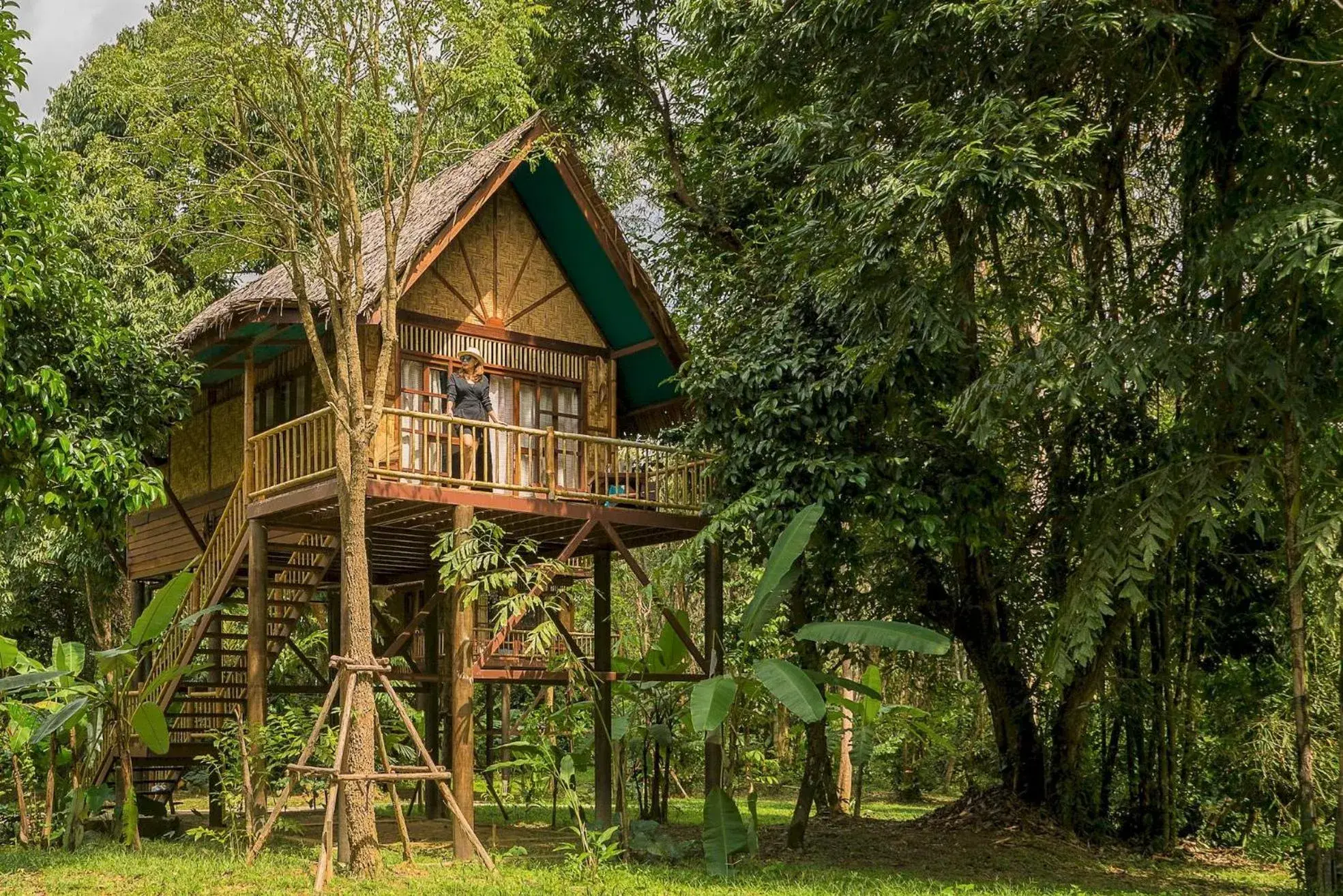 Treehouse Double in Our Jungle Camp - Eco Resort Treehouse Double in Our Jungle Camp - Eco Resort