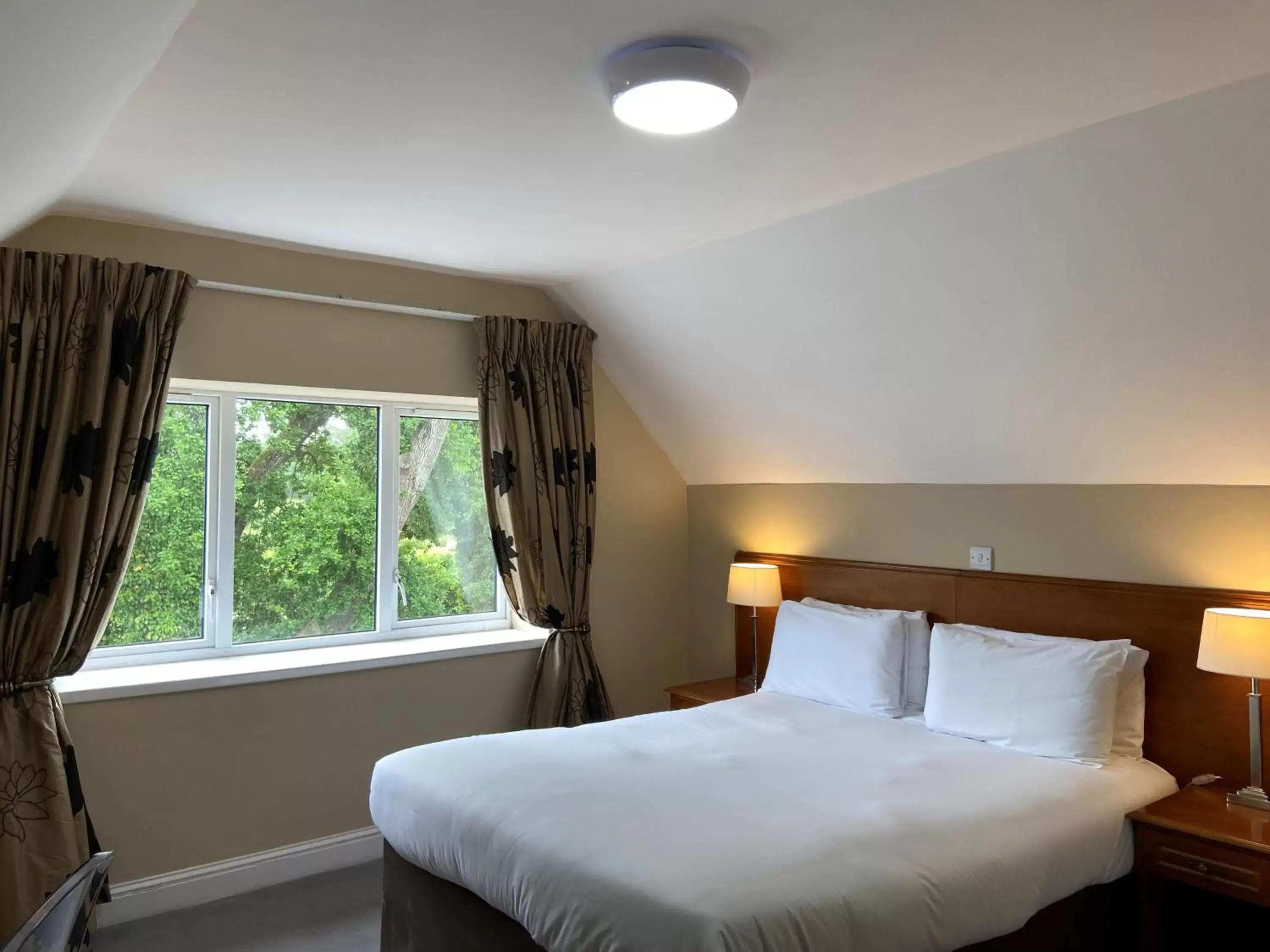 Single Room in Wilton Hotel Bray Single Room in Wilton Hotel Bray