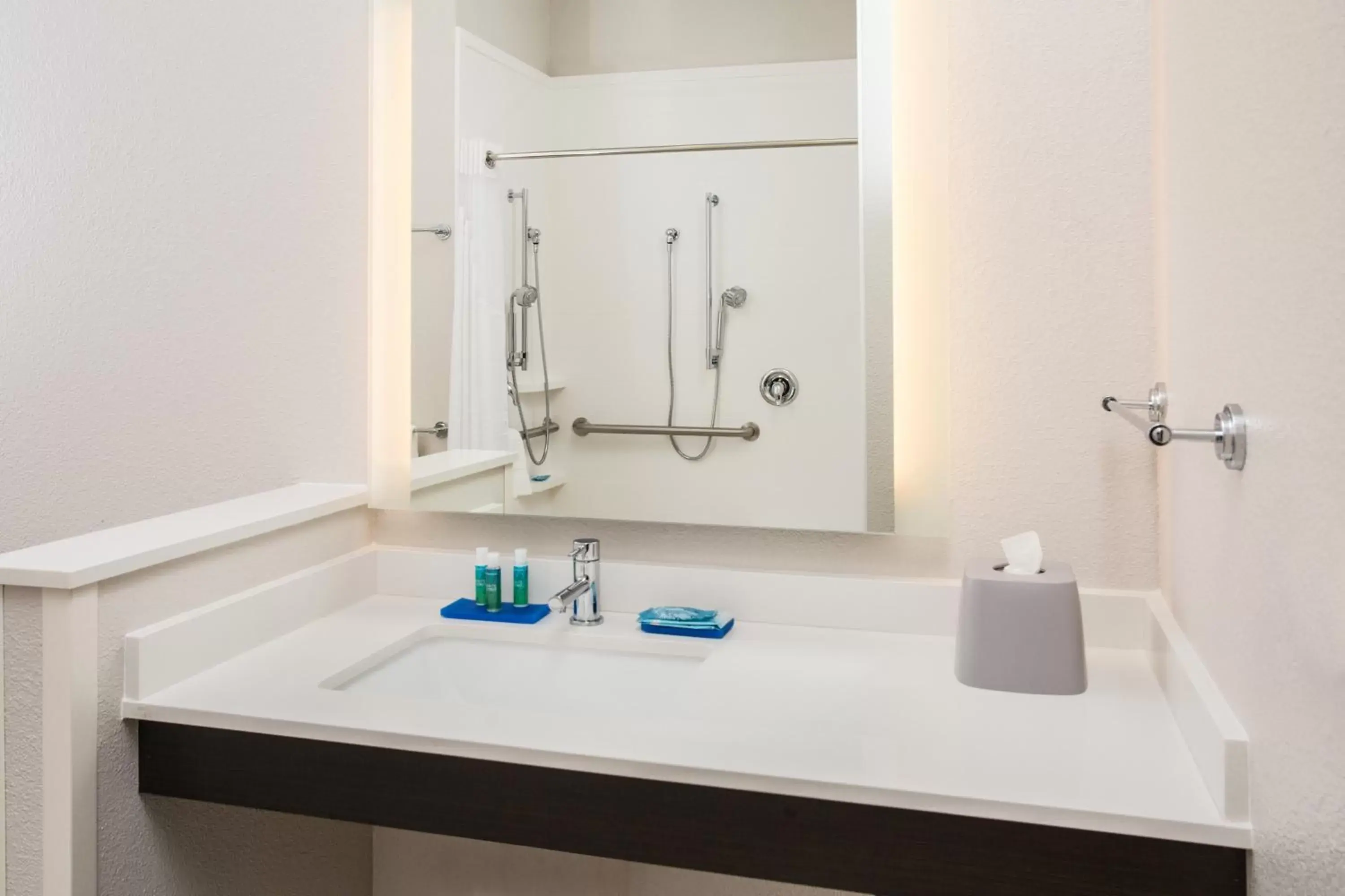 King Room - Hearing Accessible - Roll-in Shower in Holiday Inn Express & Suites - Rapid City - Rushmore South, an IHG Hotel King Room - Hearing Accessible - Roll-in Shower in Holiday Inn Express & Suites - Rapid City - Rushmore South, an IHG Hotel