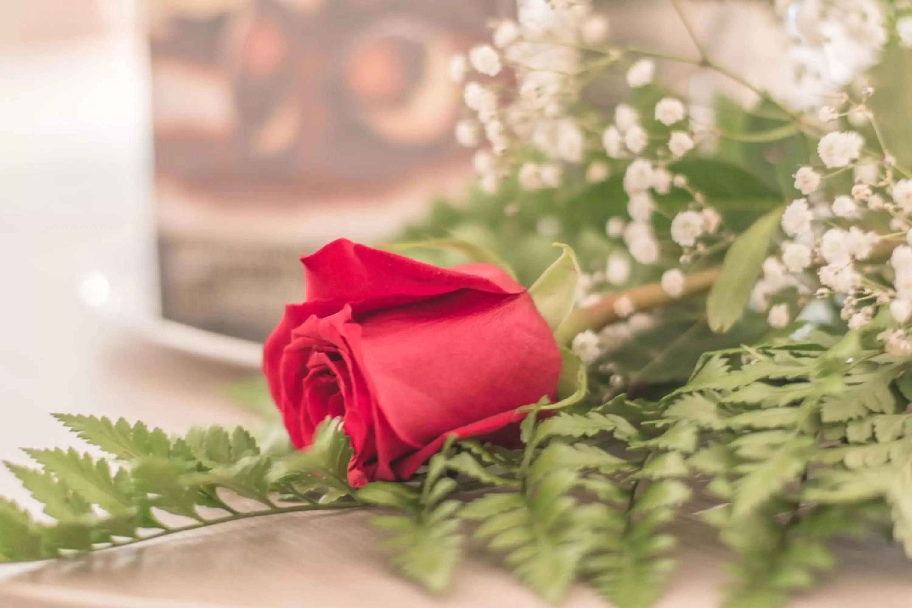 Romantic Special Offer in Loule Jardim Hotel Romantic Special Offer in Loule Jardim Hotel