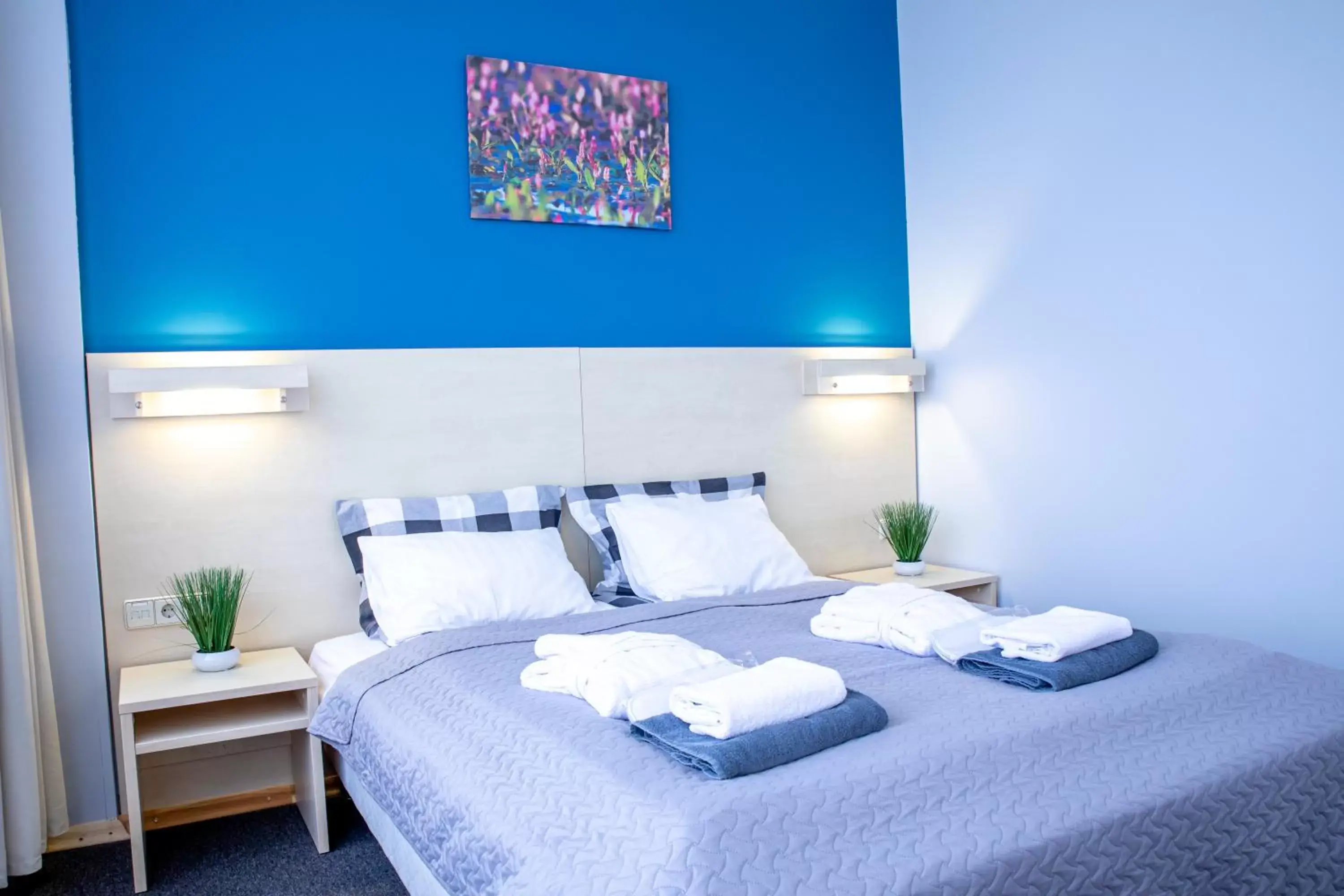 Rija Bauska Hotel Rija Bauska Hotel