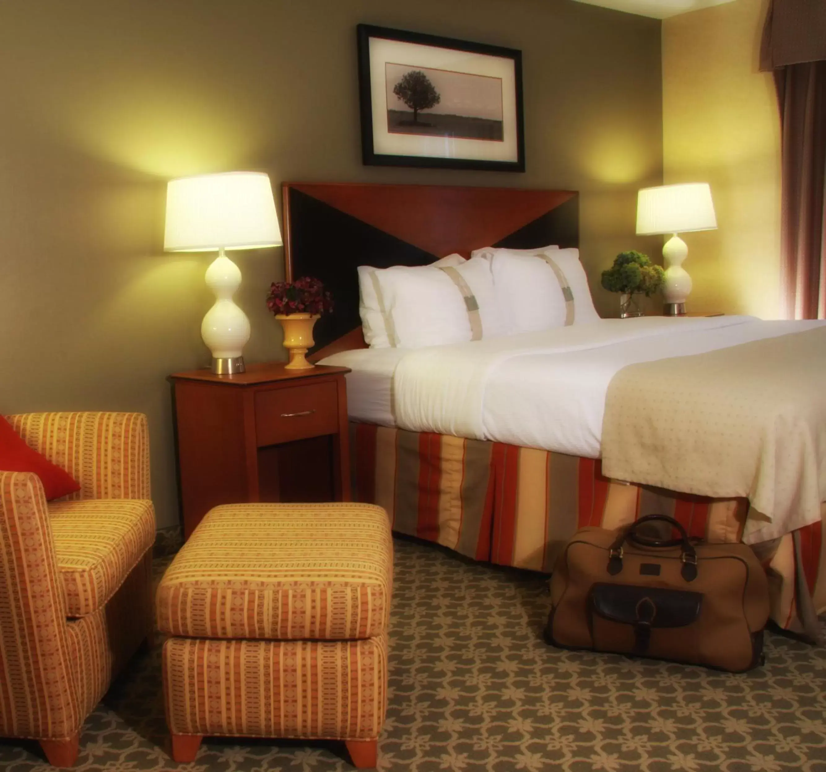 Holiday Inn Carbondale - Conference Center by IHG Holiday Inn Carbondale - Conference Center by IHG