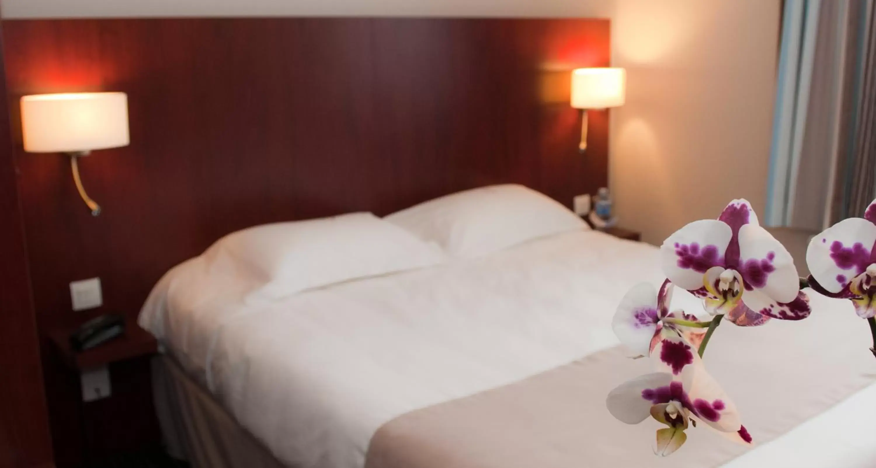 Double Room with One Double Bed in Kyriad Saint-Malo Dinard Double Room with One Double Bed in Kyriad Saint-Malo Dinard