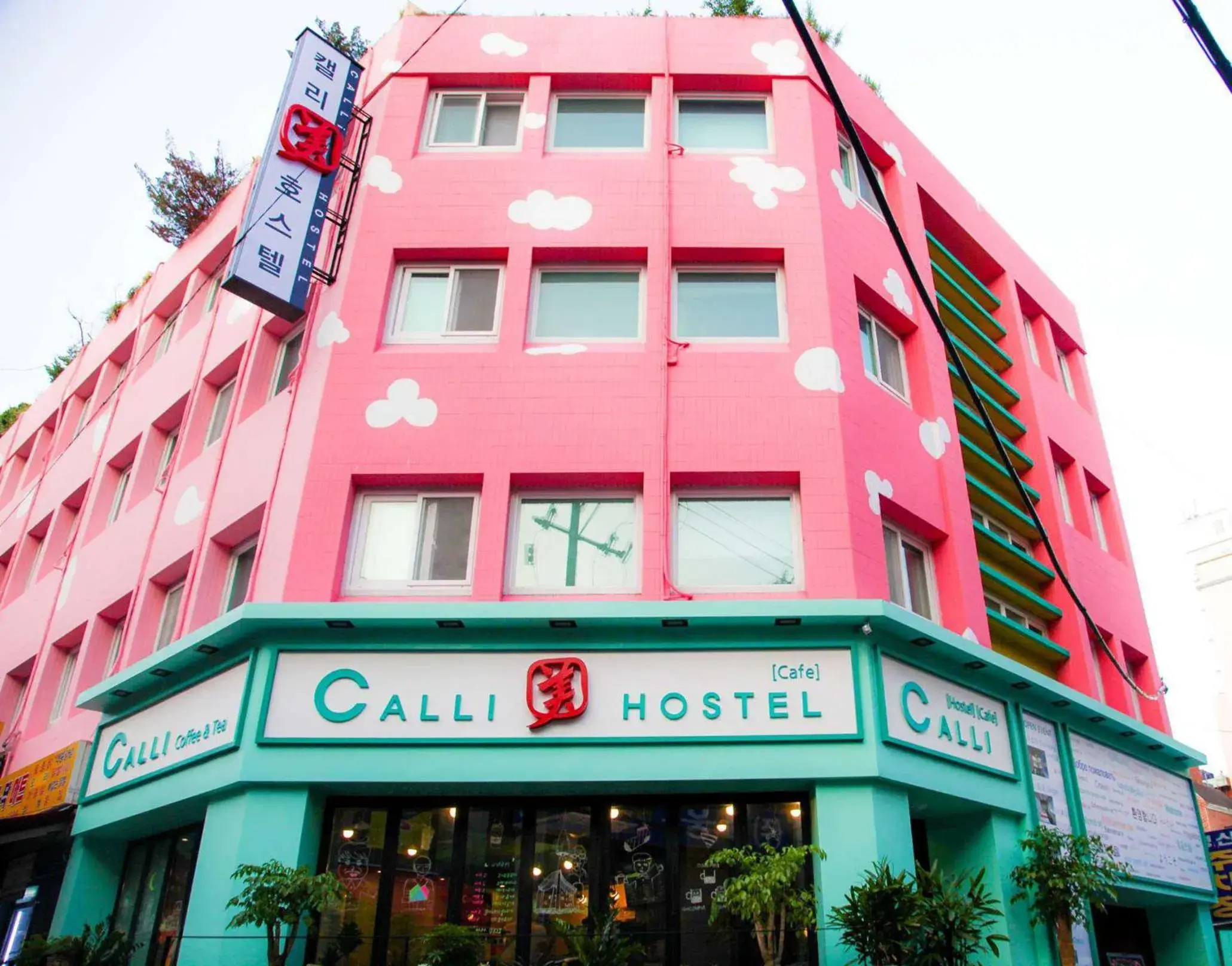 Calli Hostel Calli Hostel