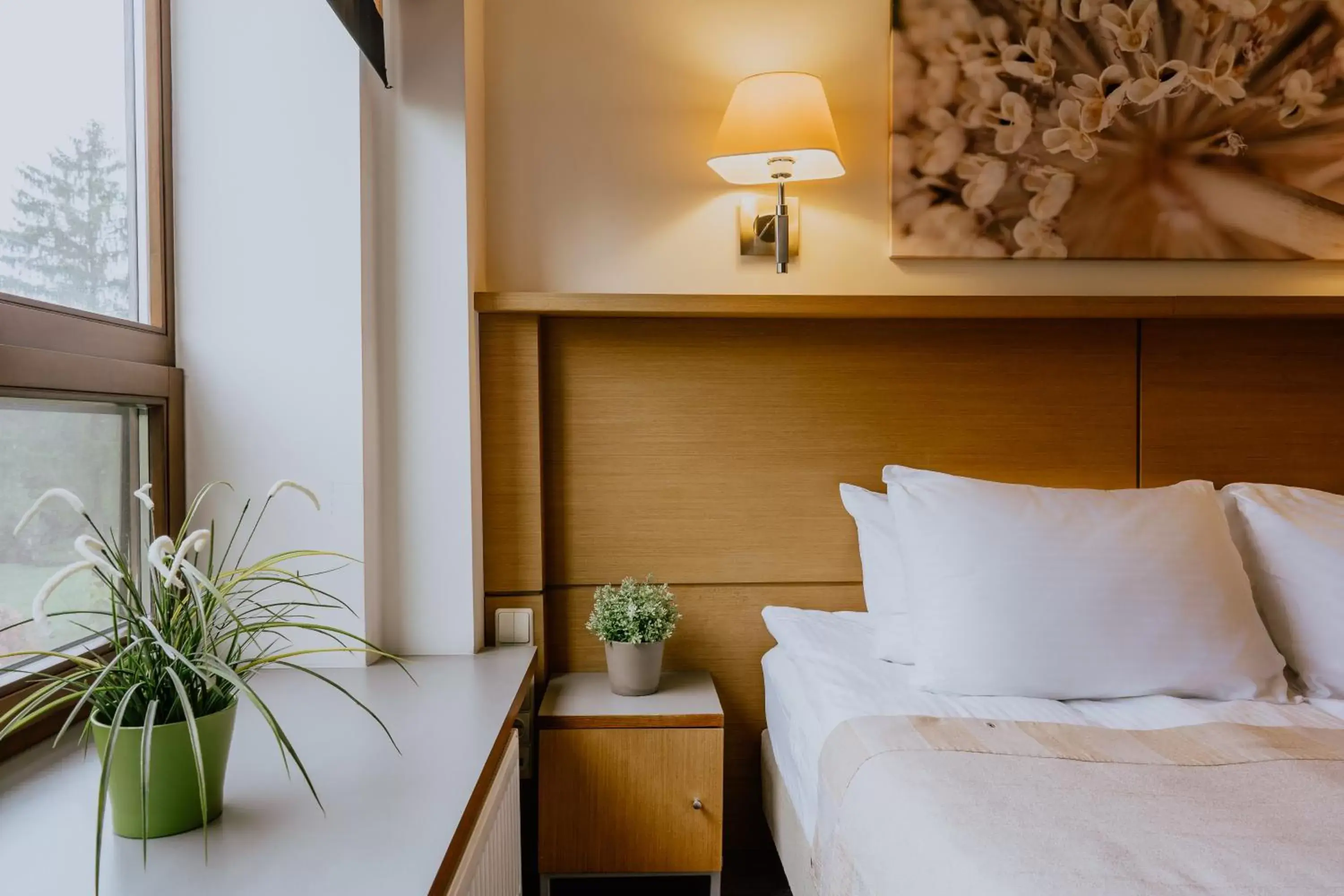 Double or Twin Room - single occupancy in De Lita Double or Twin Room - single occupancy in De Lita