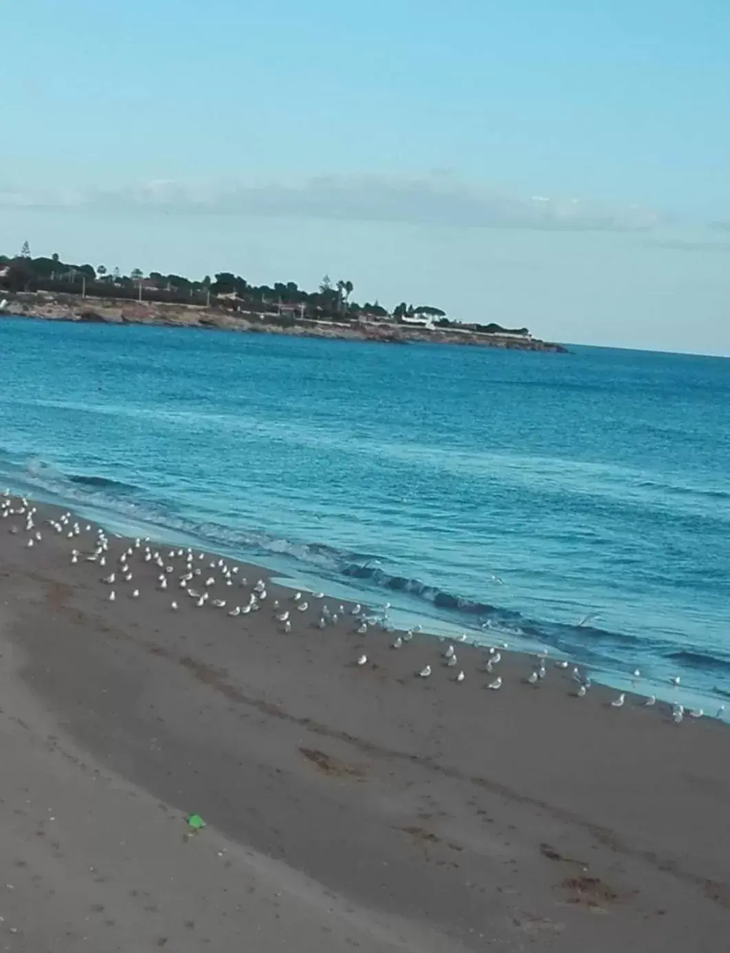 La Rosa dei venti La Rosa dei venti