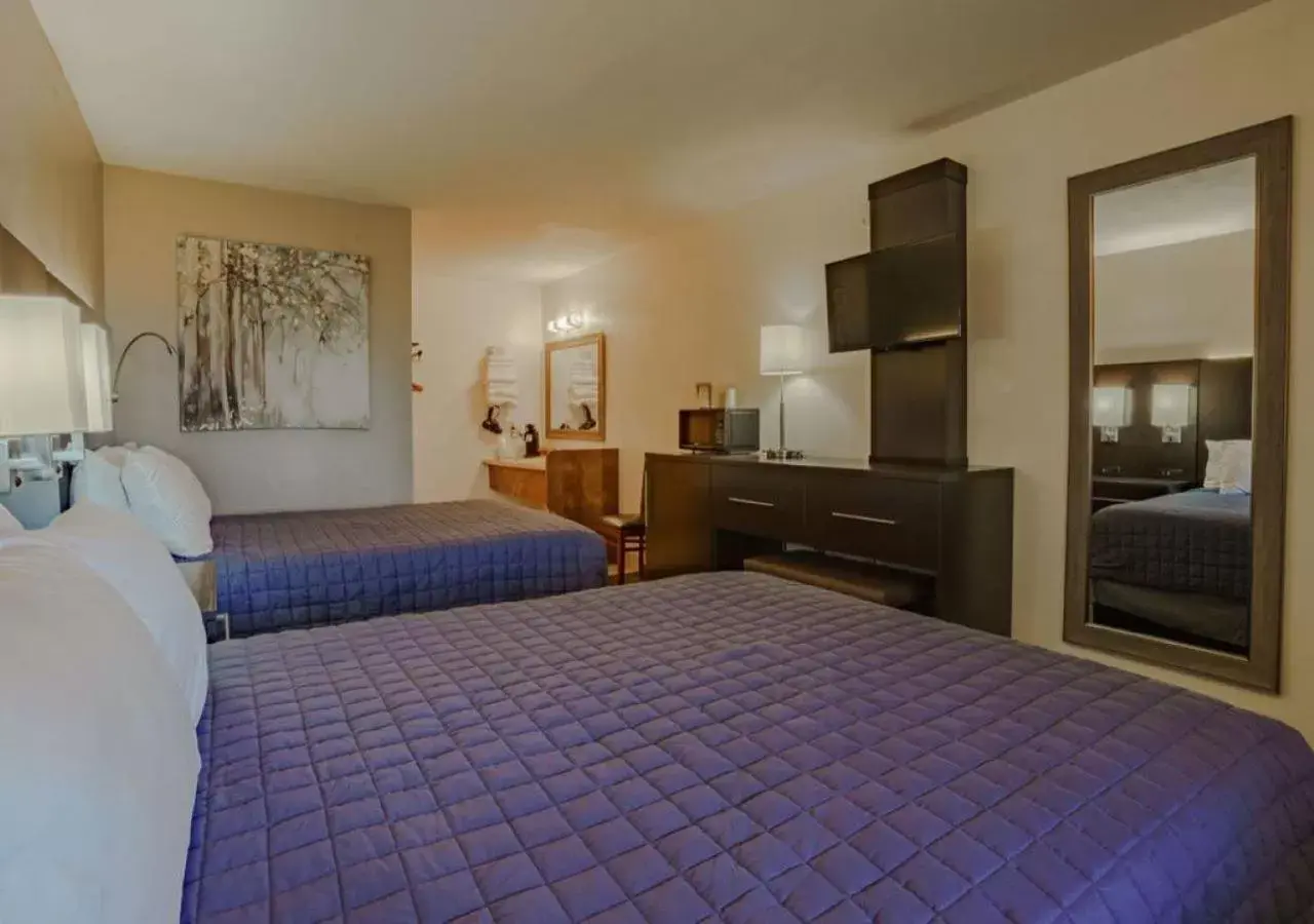 Deluxe Double Room in Shady Acre Inn and Suites Deluxe Double Room in Shady Acre Inn and Suites