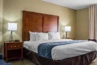 Superior Queen Room with Two Queen Beds - Non Smoking in Comfort Inn & Suites North Glendale and Peoria Superior Queen Room with Two Queen Beds - Non Smoking in Comfort Inn & Suites North Glendale and Peoria