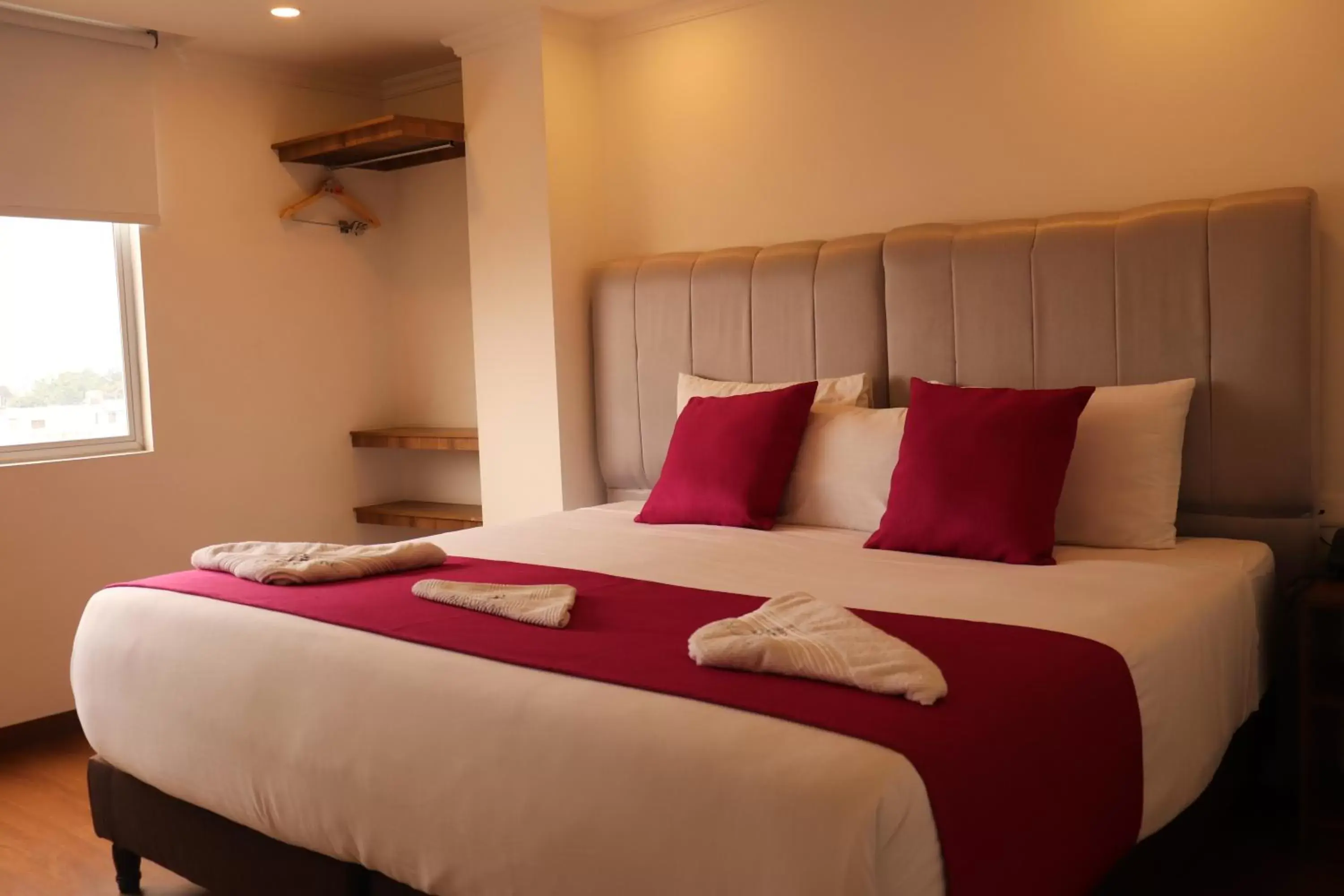 Double Room in Hotel Bogota DC Double Room in Hotel Bogota DC