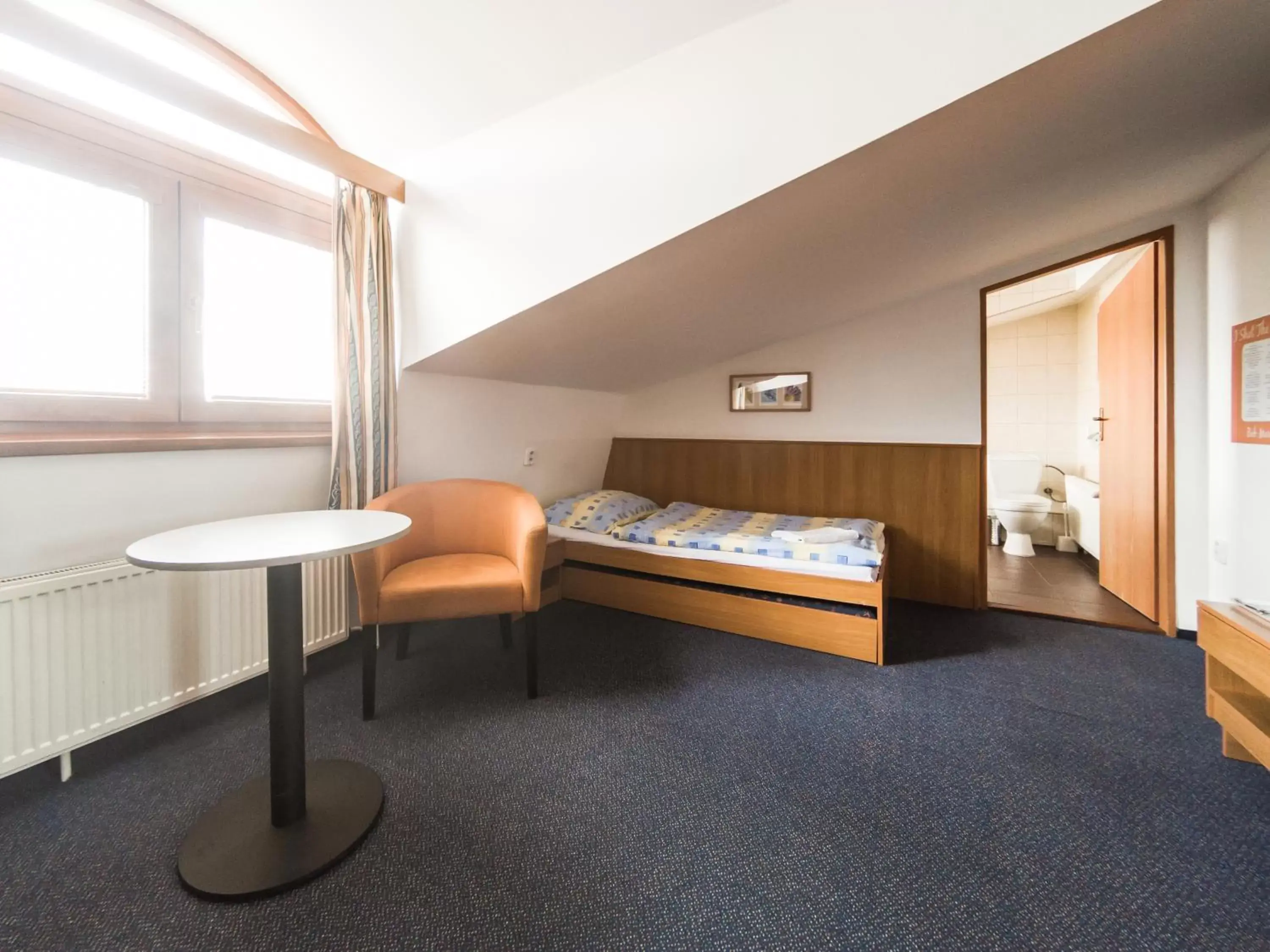 Single Room - single occupancy in Penzion Atlas Single Room - single occupancy in Penzion Atlas
