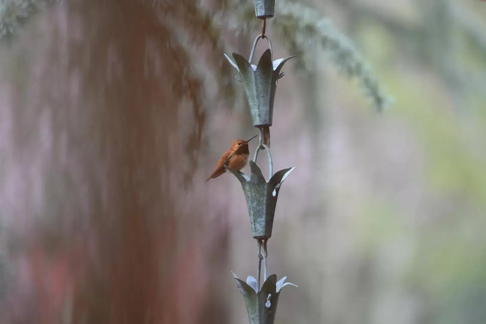 Double Room with Garden View in Otter's Pond Bed and Breakfast Double Room with Garden View in Otter's Pond Bed and Breakfast