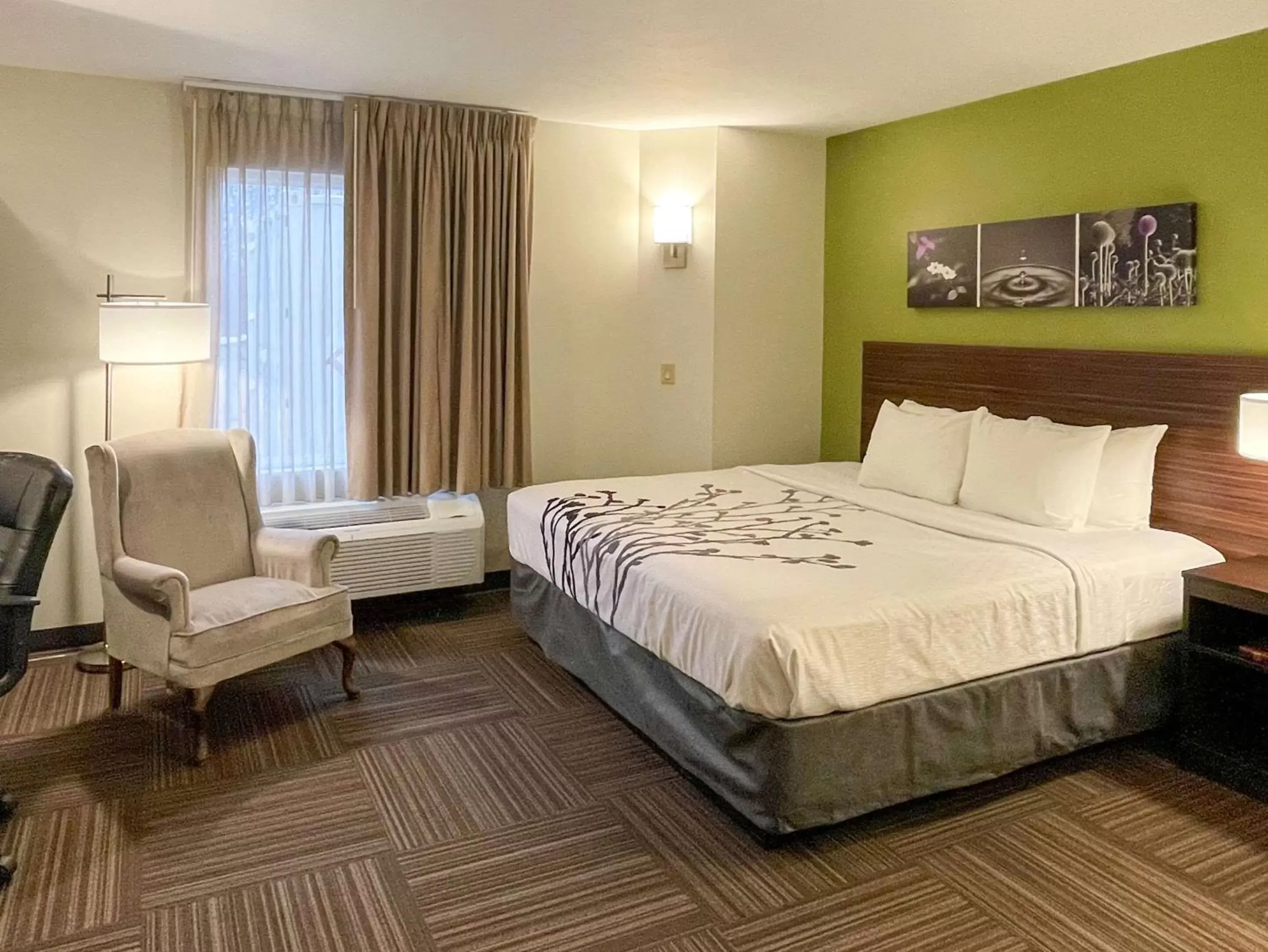 King Room - Non-Smoking in Sleep Inn King Room - Non-Smoking in Sleep Inn