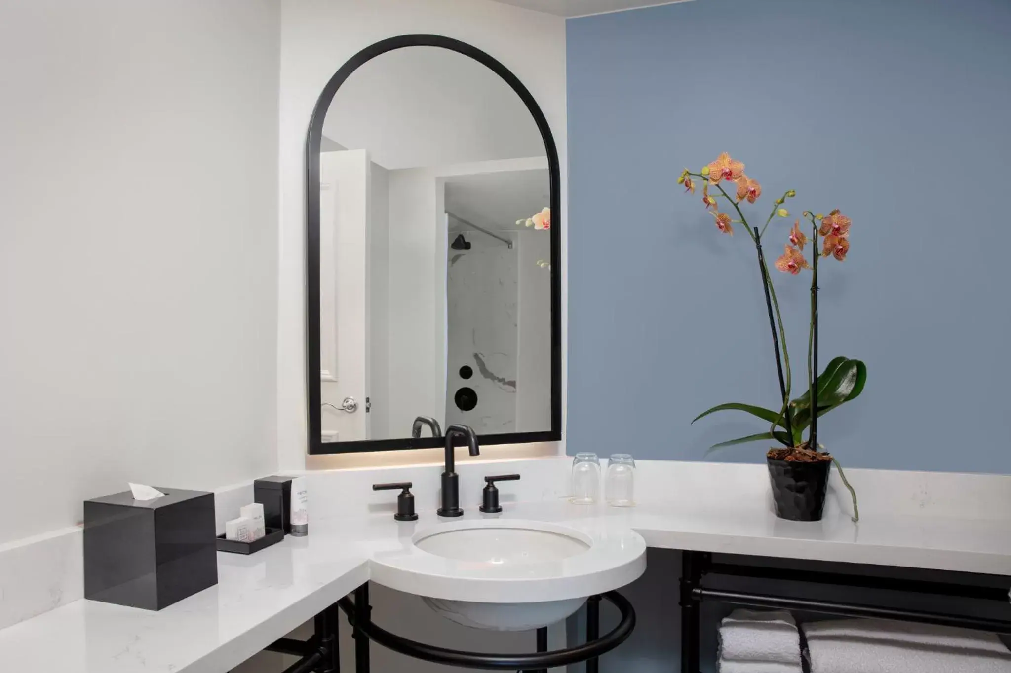 Luxury Double Junior Suite in The Don CeSar Luxury Double Junior Suite in The Don CeSar