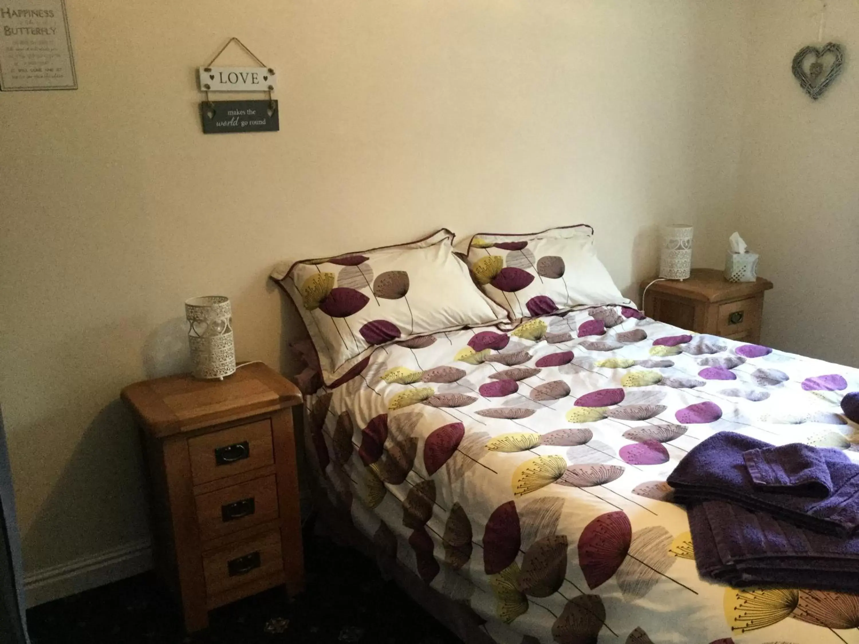 Double Room - single occupancy in Trem Hyfryd B&B Double Room - single occupancy in Trem Hyfryd B&B