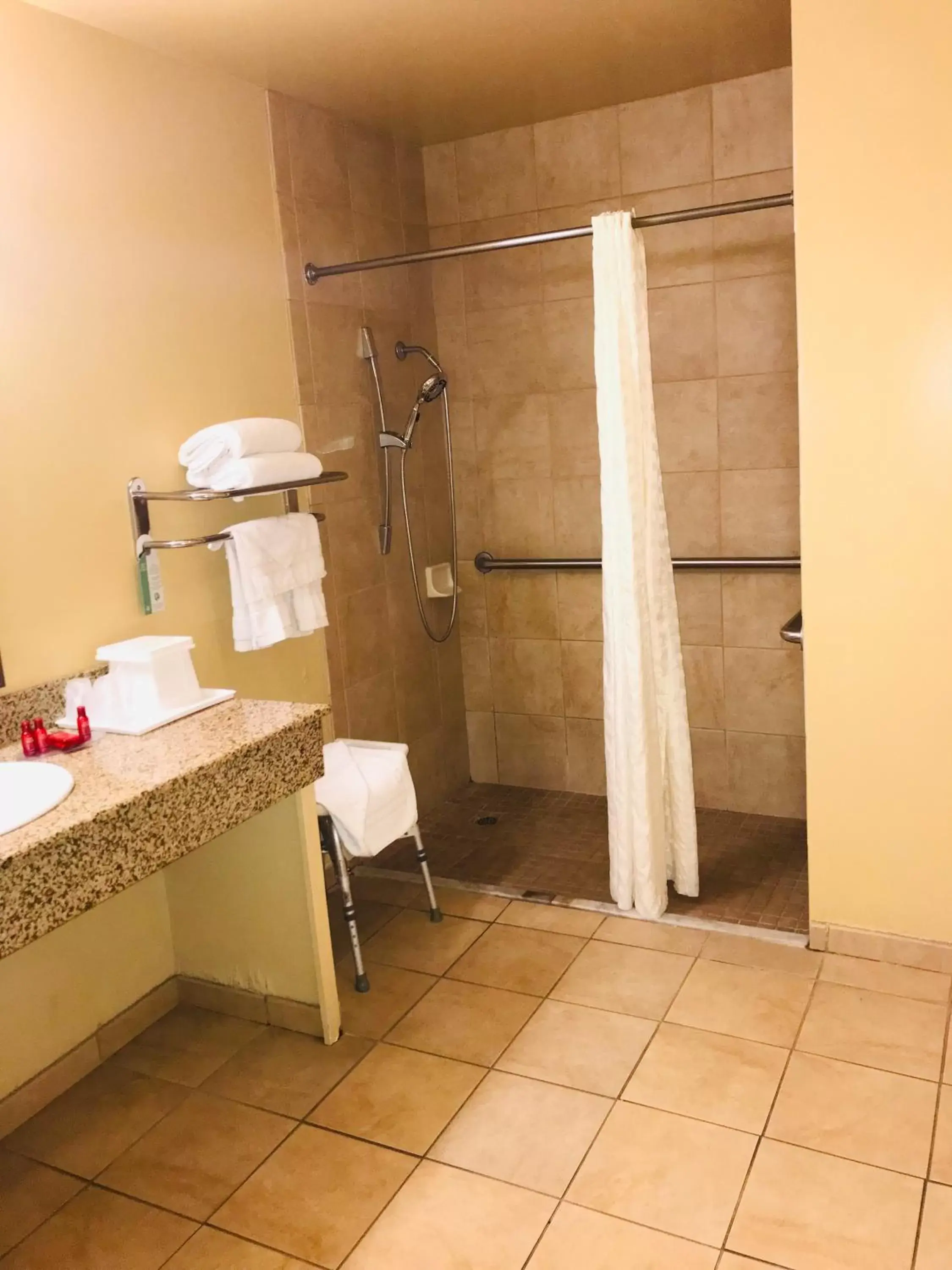 King Room with Roll-In Shower - Disability Access in SureStay Plus Hotel by Best Western San Bernardino South King Room with Roll-In Shower - Disability Access in SureStay Plus Hotel by Best Western San Bernardino South