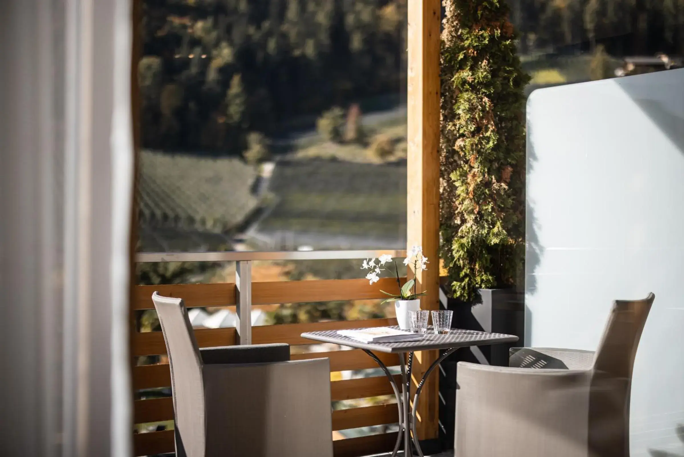 Deluxe Junior Suite in ALPIANA - green luxury Dolce Vita Hotel Deluxe Junior Suite in ALPIANA - green luxury Dolce Vita Hotel