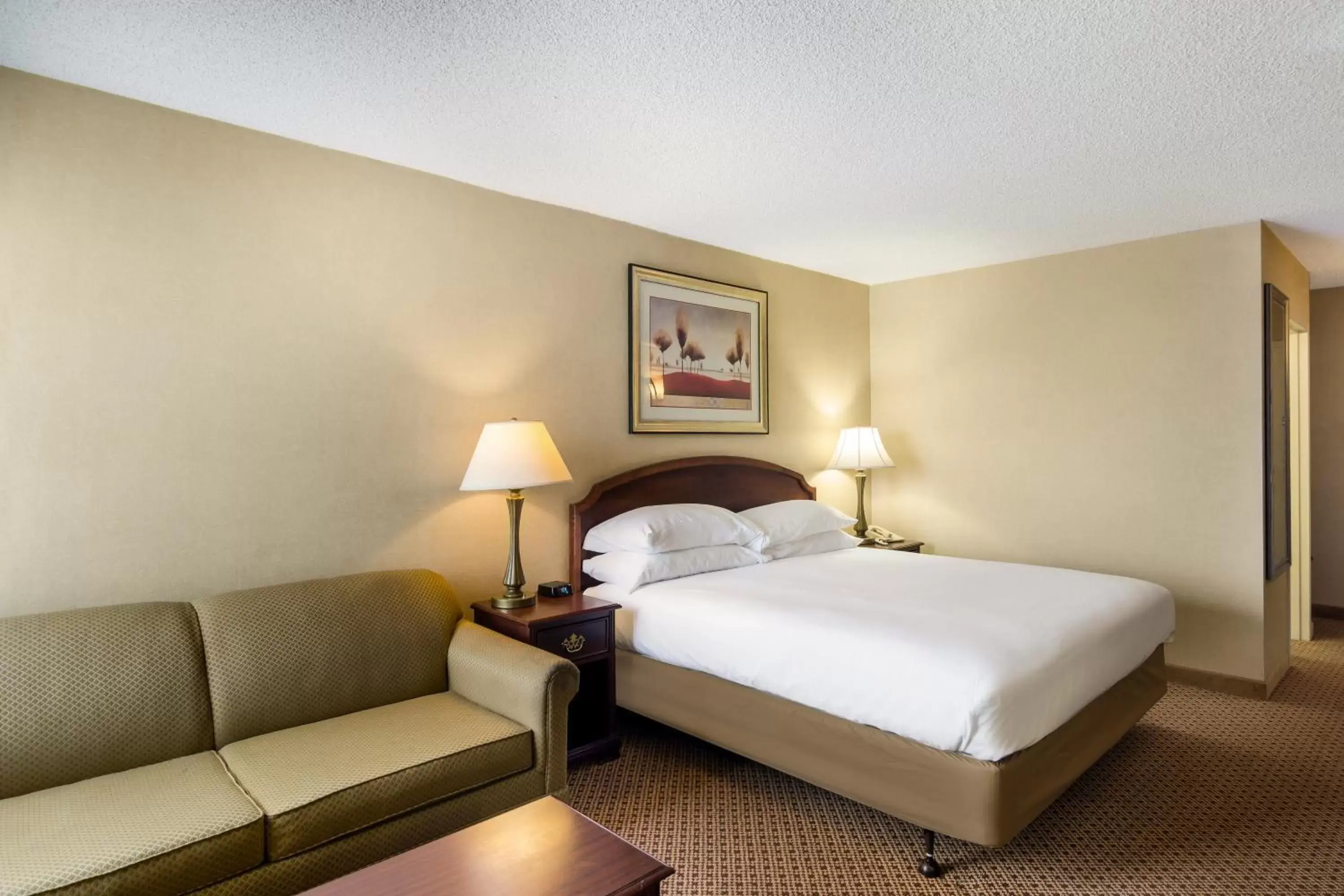 One King Bed in Red Lion Hotel Cheyenne One King Bed in Red Lion Hotel Cheyenne